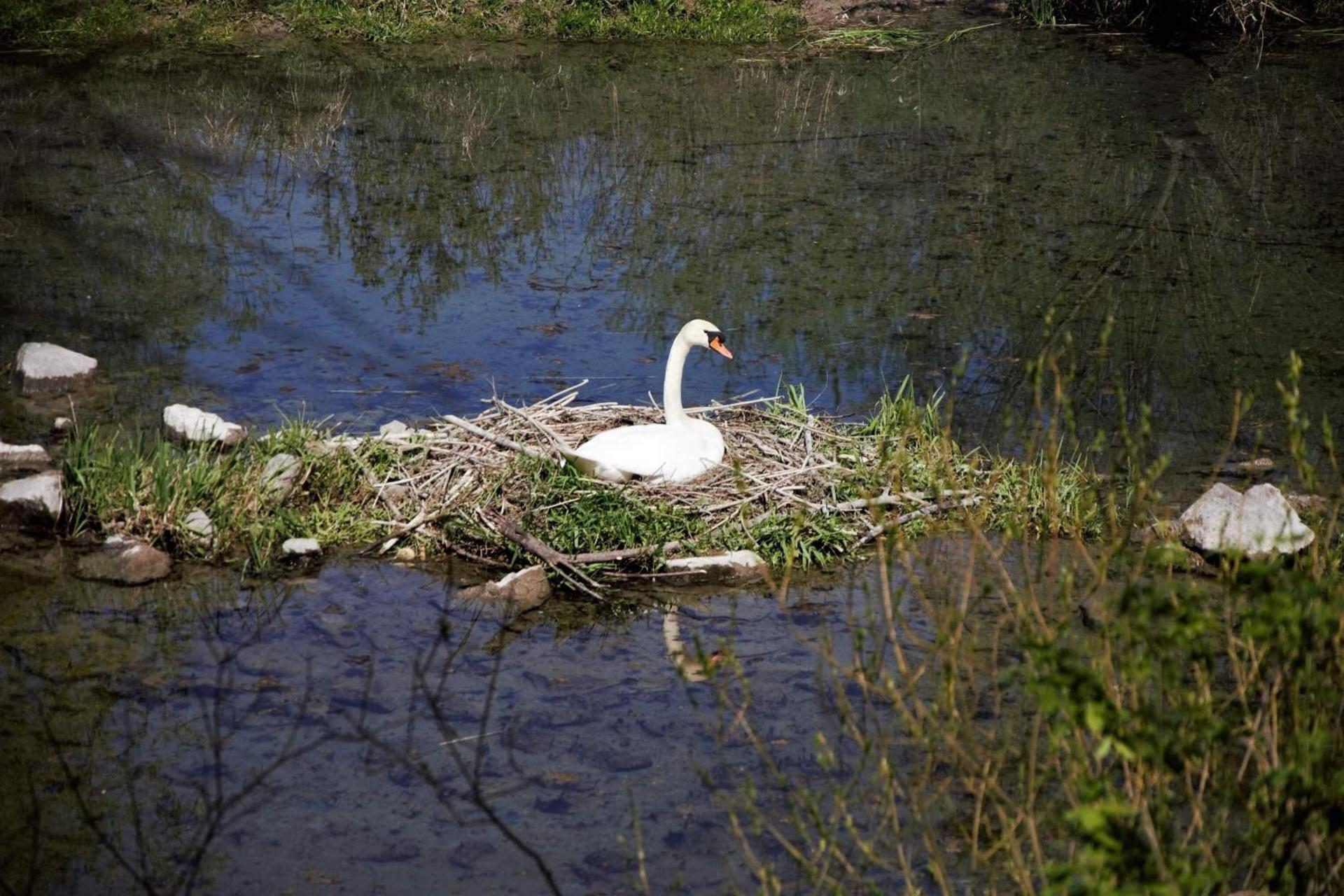 Víz-Party vendégház