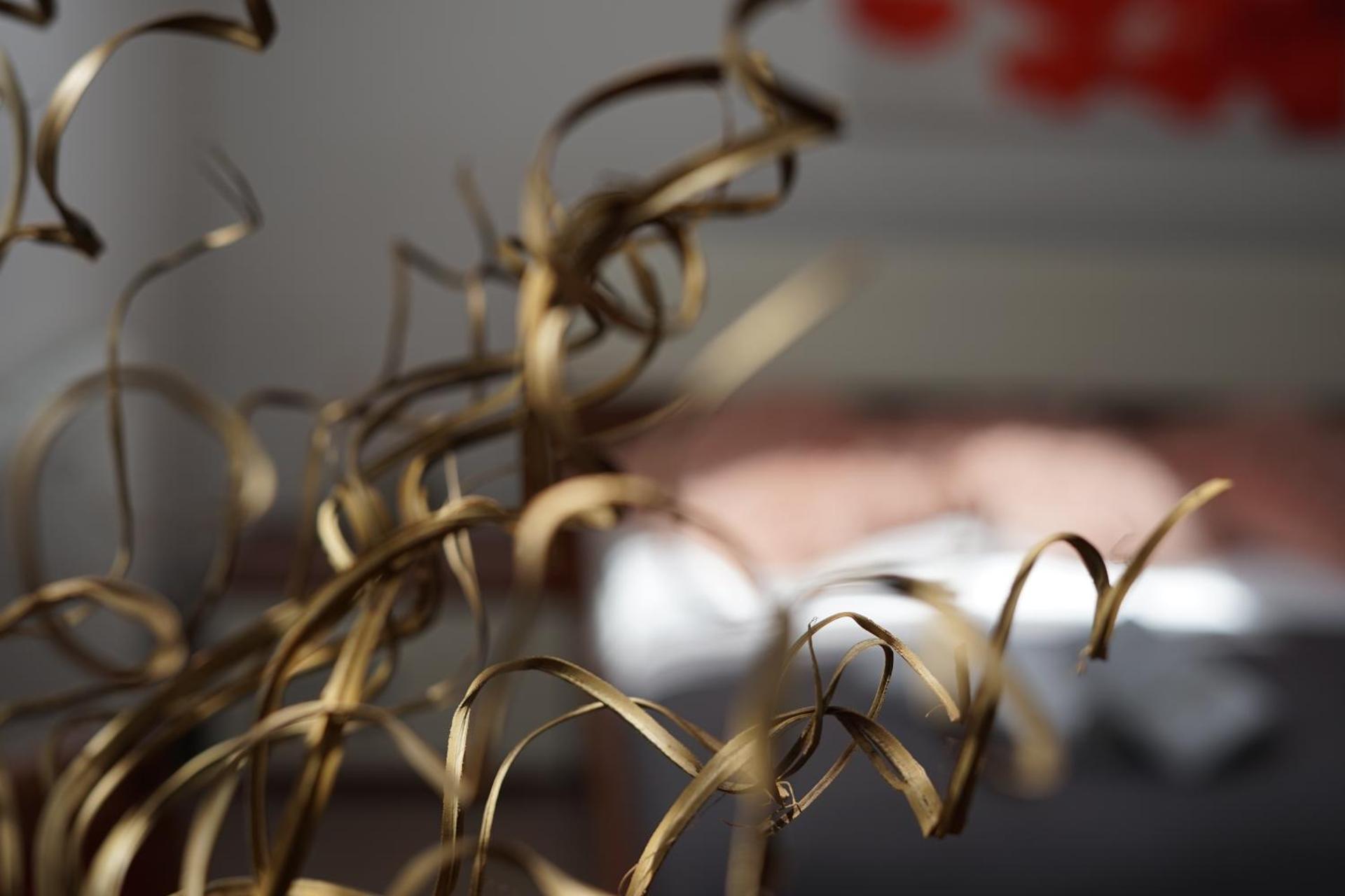 Pivovarsky Hotel Kojetín u Kroměříže