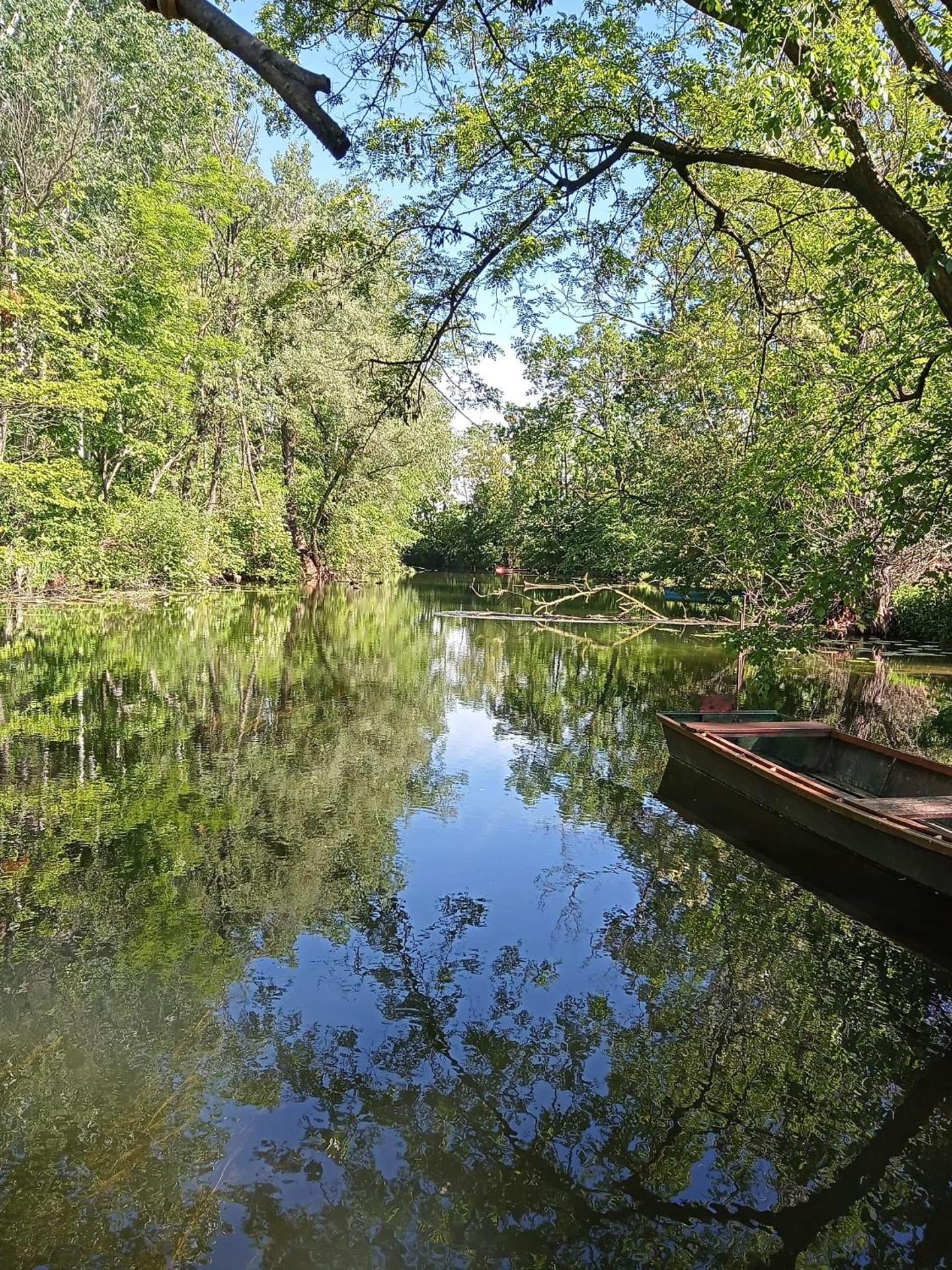 Víz-Party vendégház