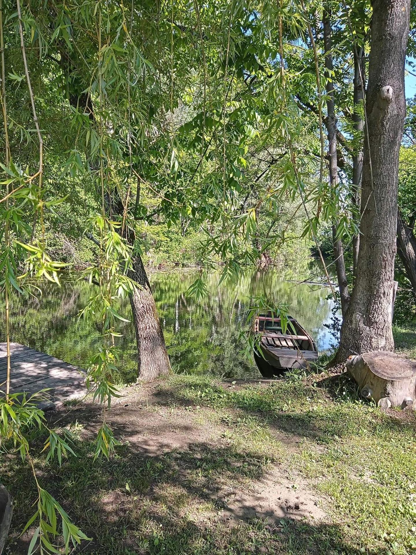 Víz-Party vendégház