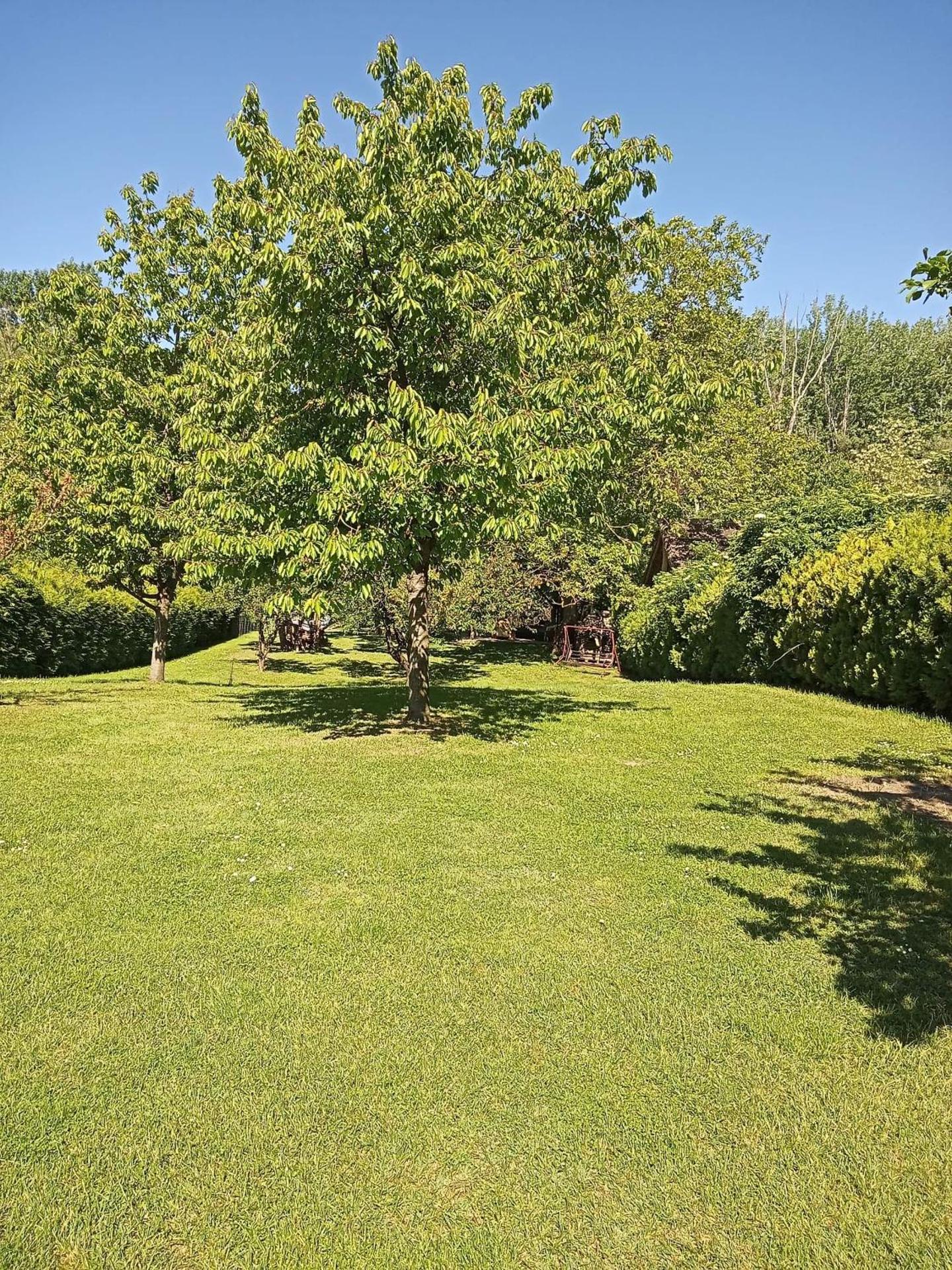 Víz-Party vendégház