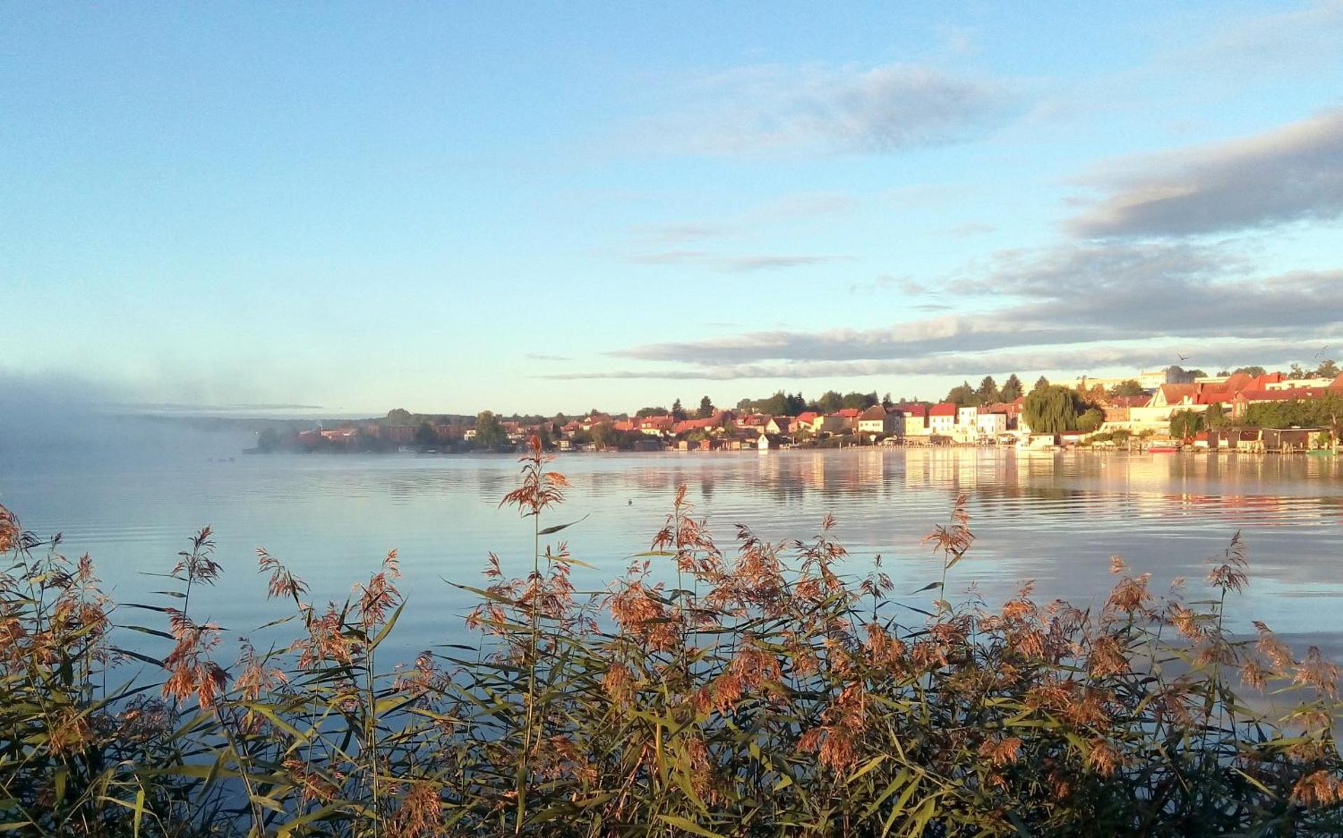 Katzensprung zum Wald