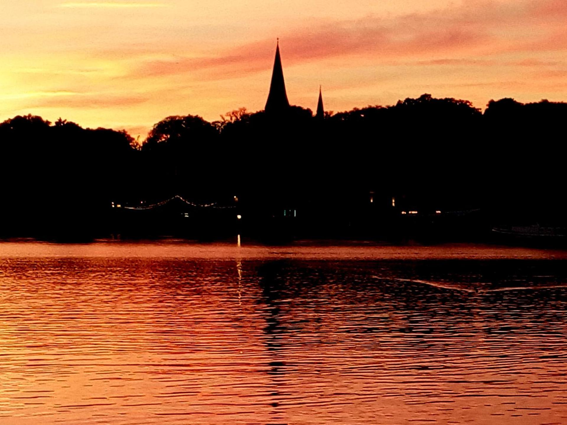 Katzensprung zum Wald