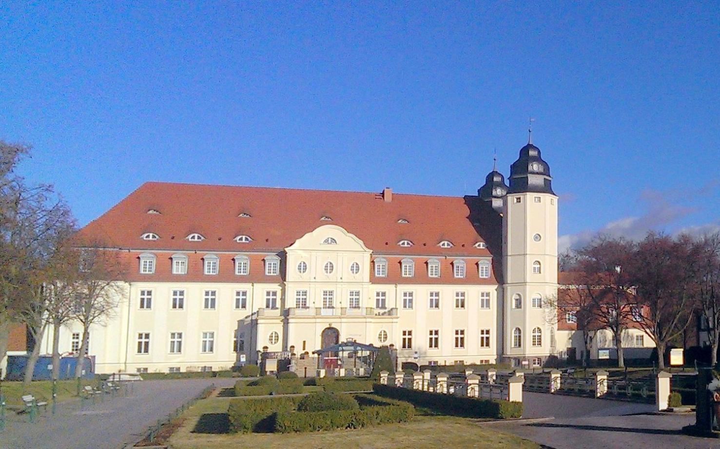 Katzensprung zum Wald