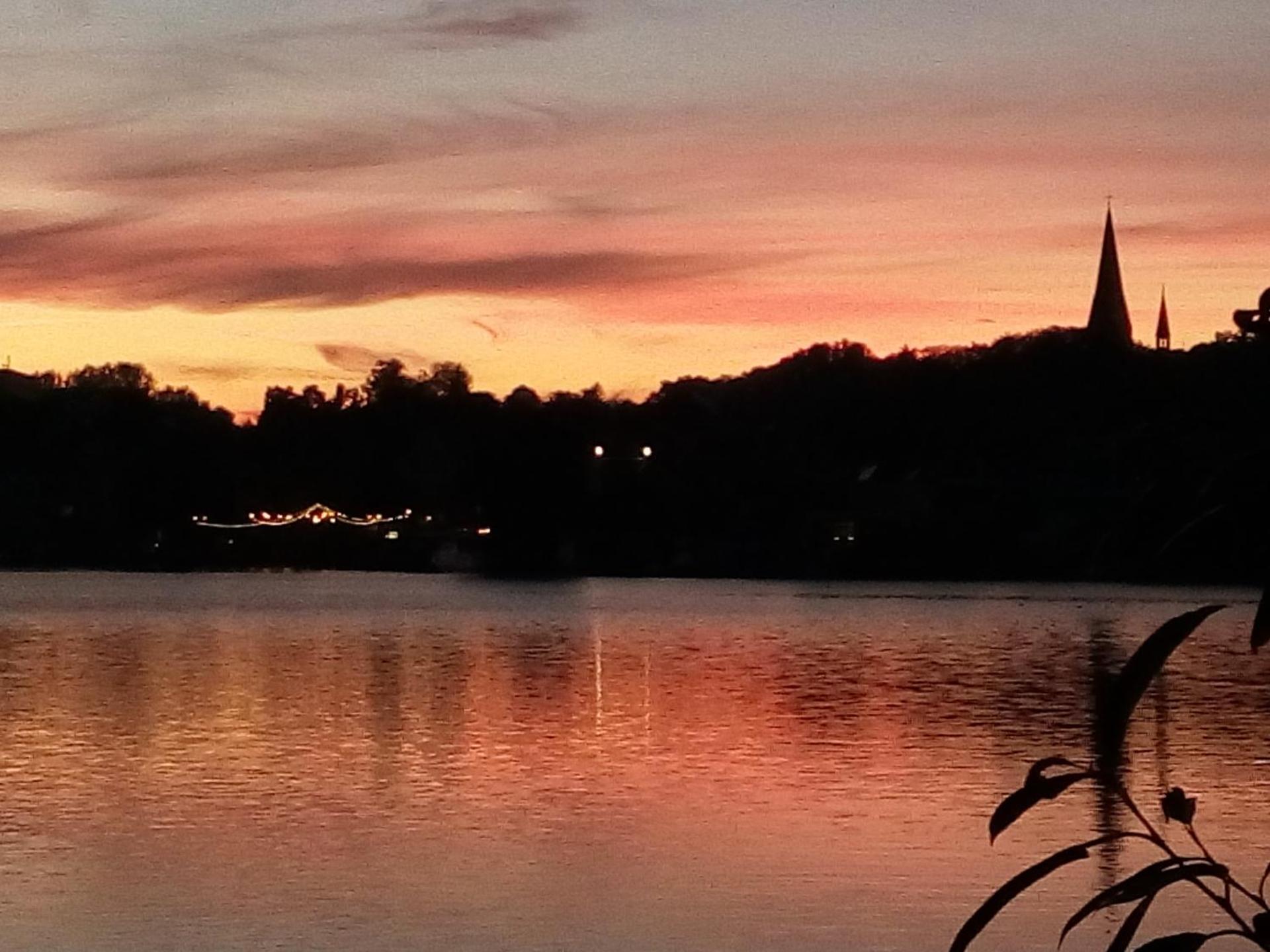 Katzensprung zum Wald