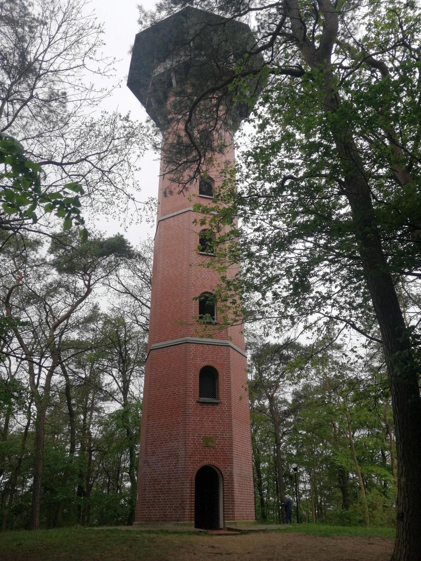 Katzensprung zum Wald