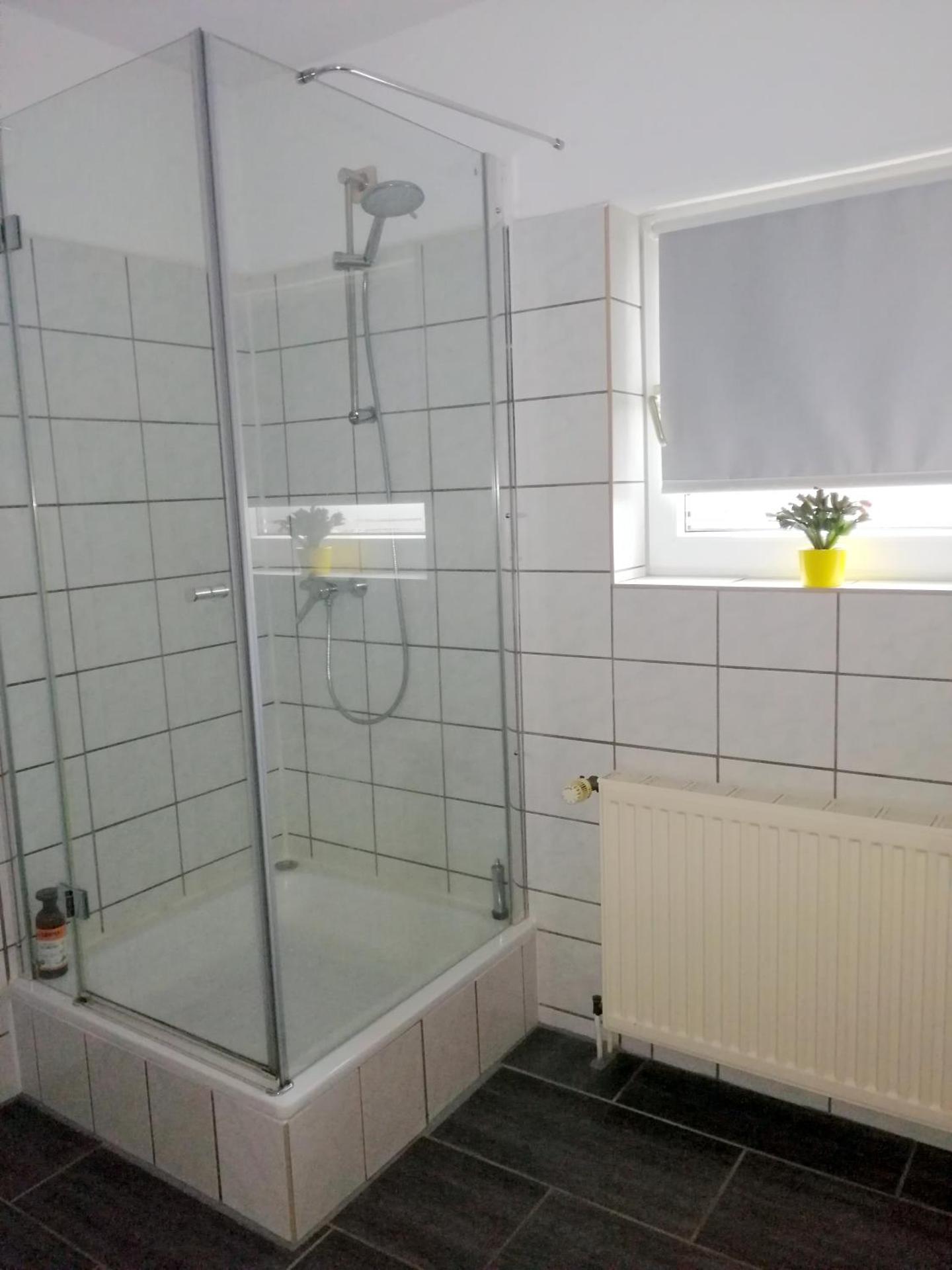 Katzensprung zum Wald