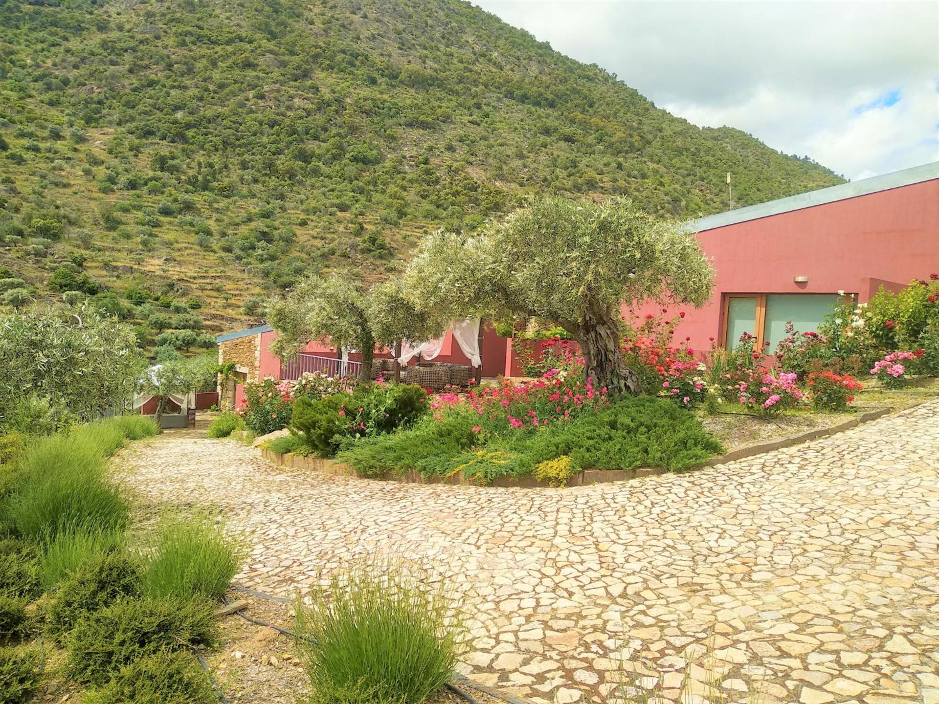 Quinta Vale de Carvalho