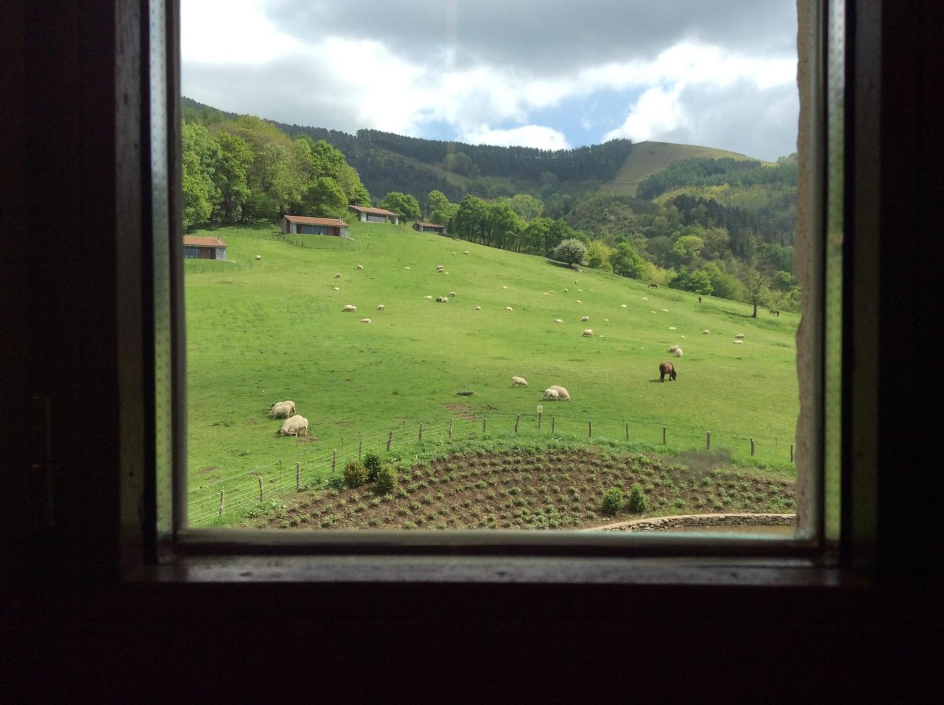 View (from property/room)