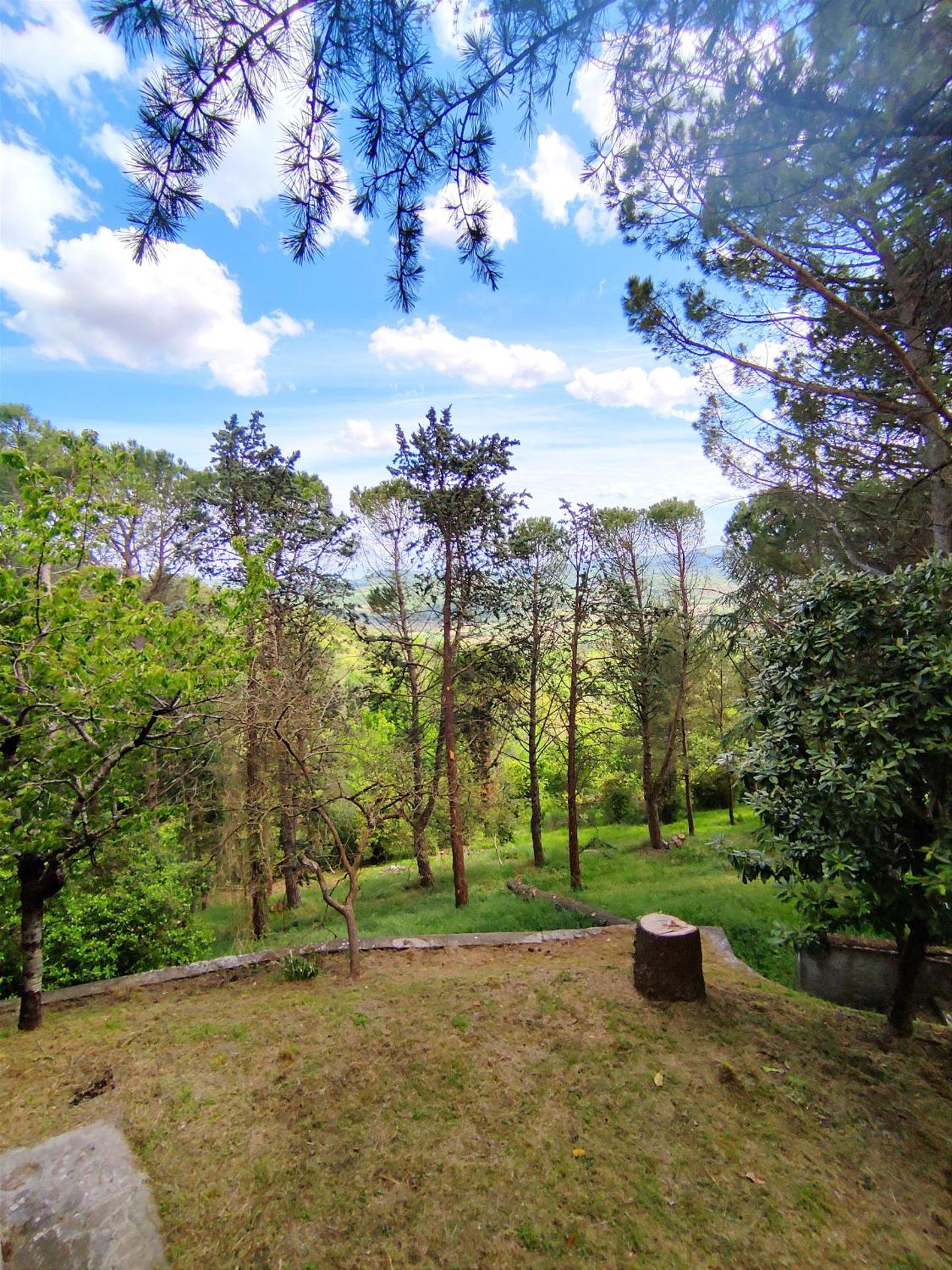 Fonte Degna - Alloggio e Sito Storico