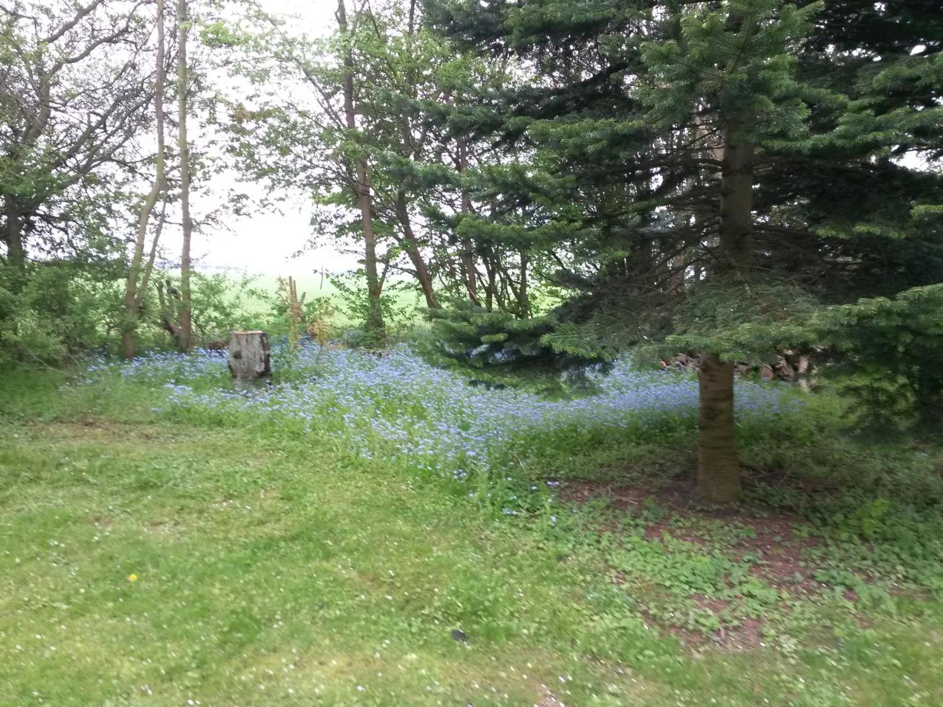 Apartment (2 Adults)