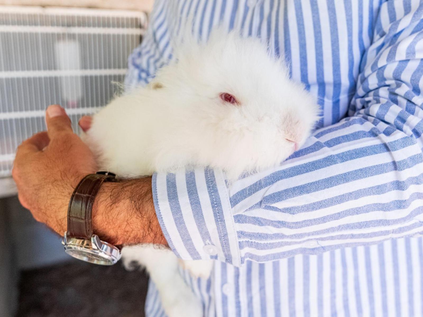 Casuta cu Trandafiri