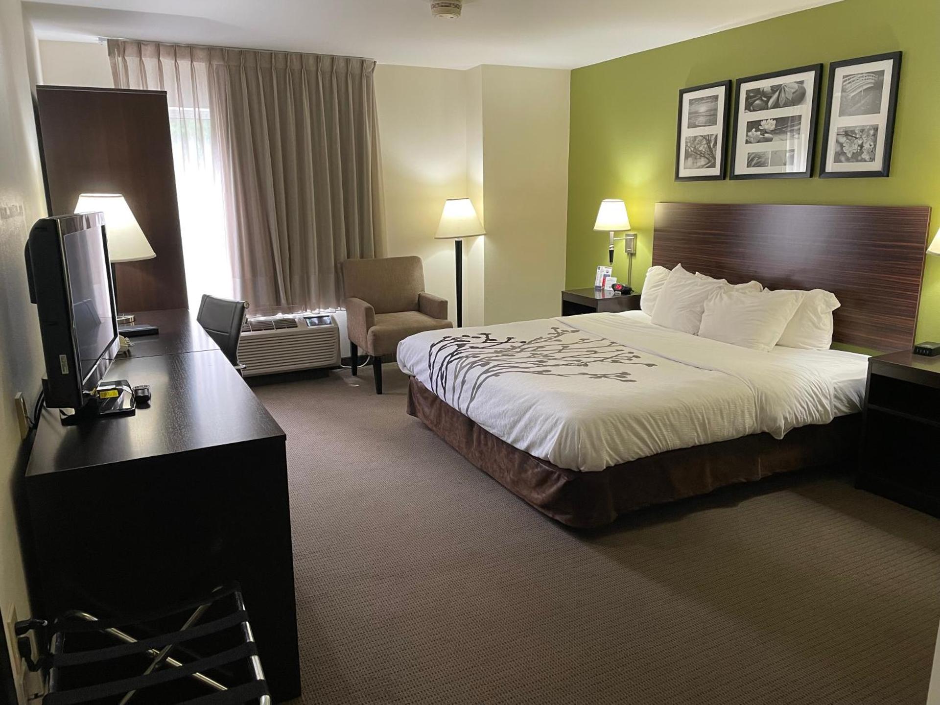 King Room - Non-Smoking