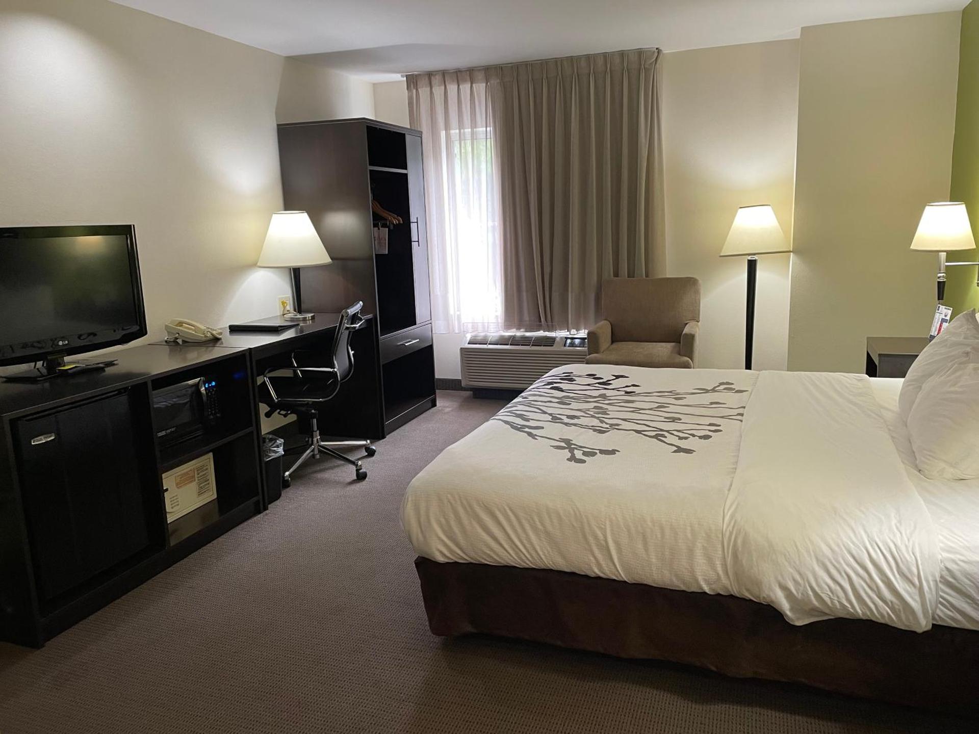 King Room - Non-Smoking