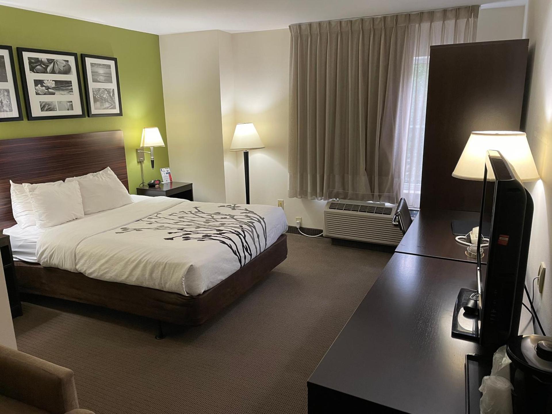 Queen Room - Disability Access/Non-Smoking