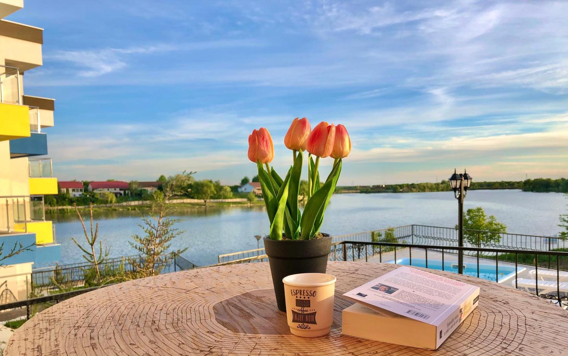 Snagov Lakeview Residences