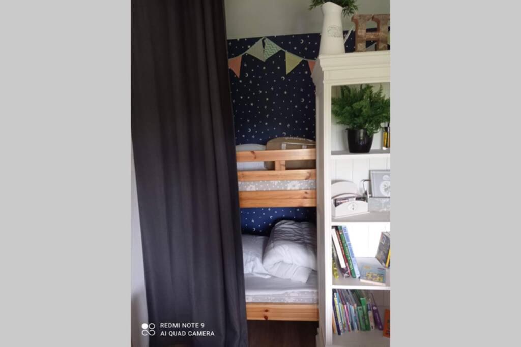 la cabane des druides