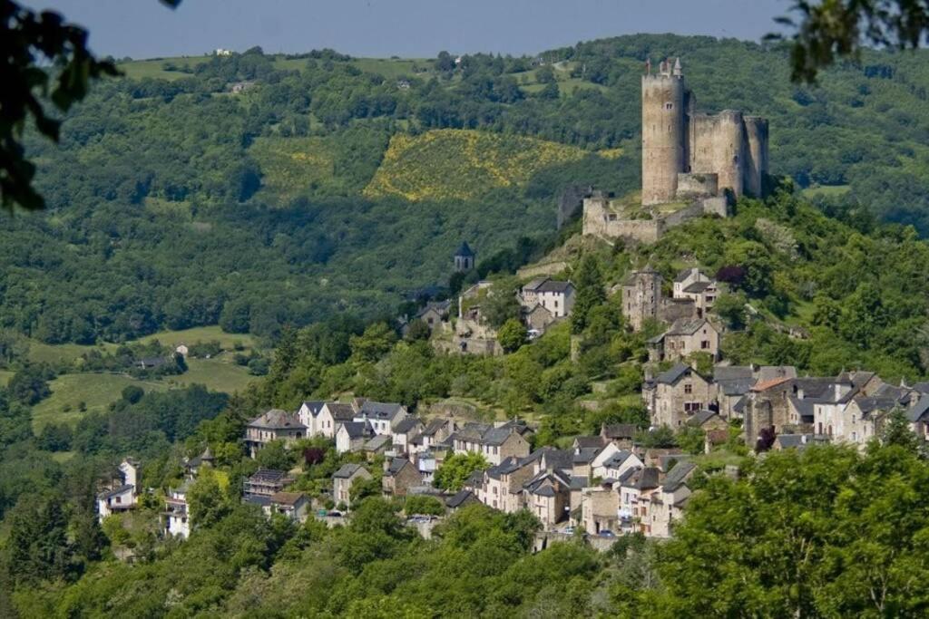 Appart T2 Village vacance 3 étoiles St Geniez d'Olt 2 piscines chauffées 75