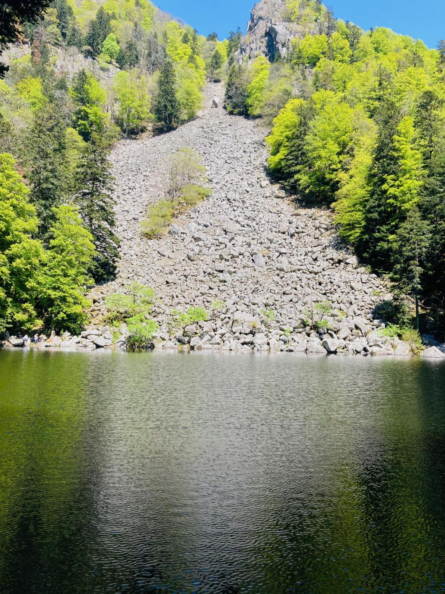 CHEZ LOU ET MAX : UN HAVRE DE PAIX.