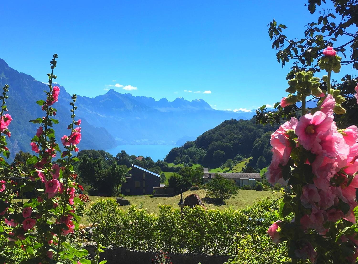 View (from property/room)