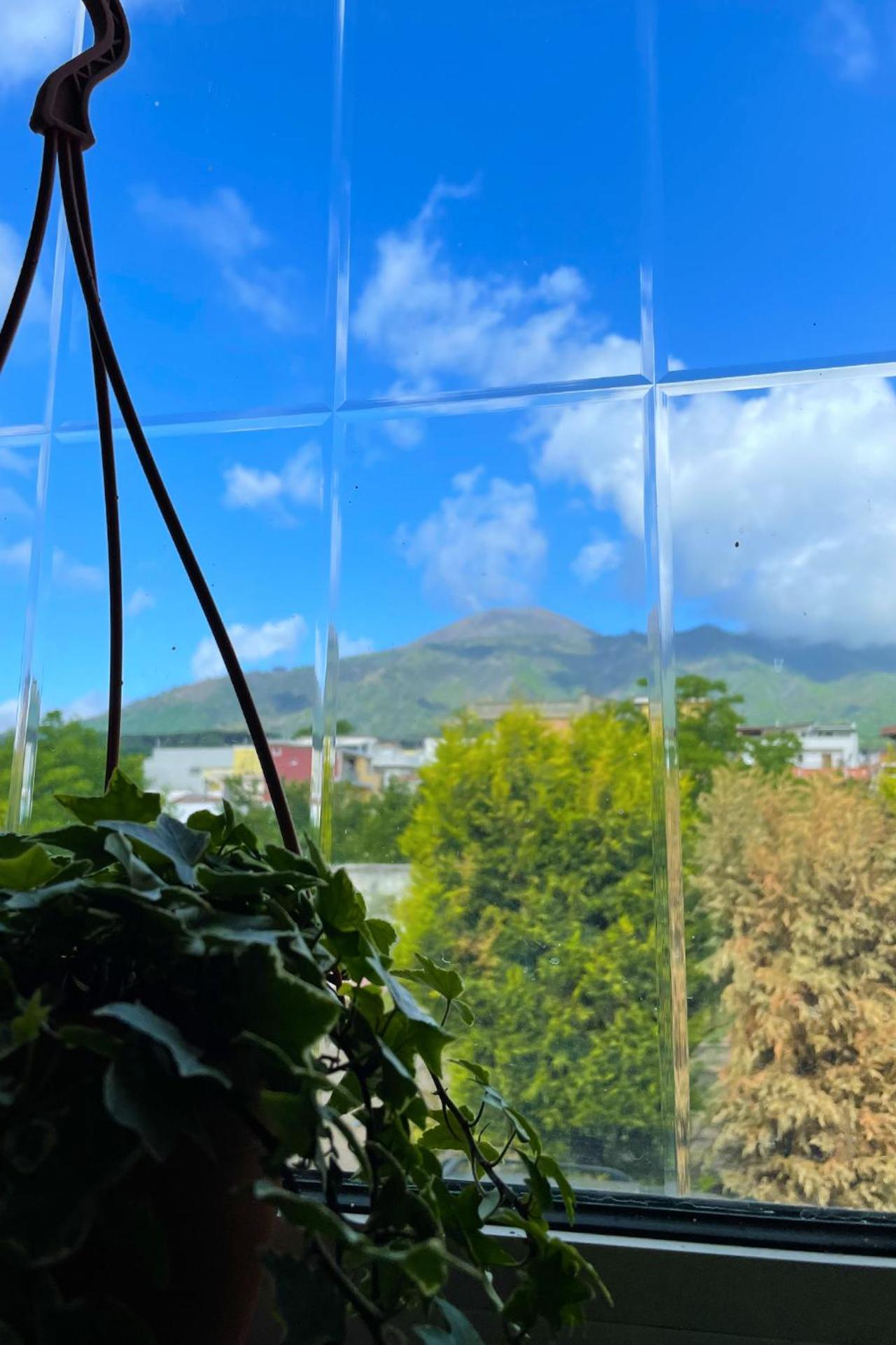 B&B Dimora di Campagna "alle falde del Vesuvio"