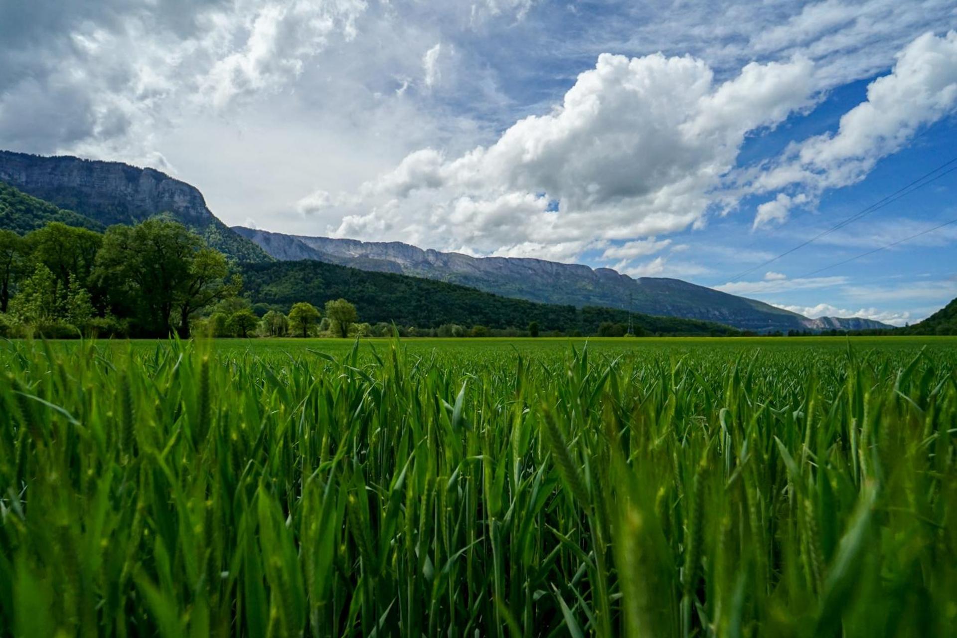 Les Aravis - Apartment for 6 people 5min from the lake