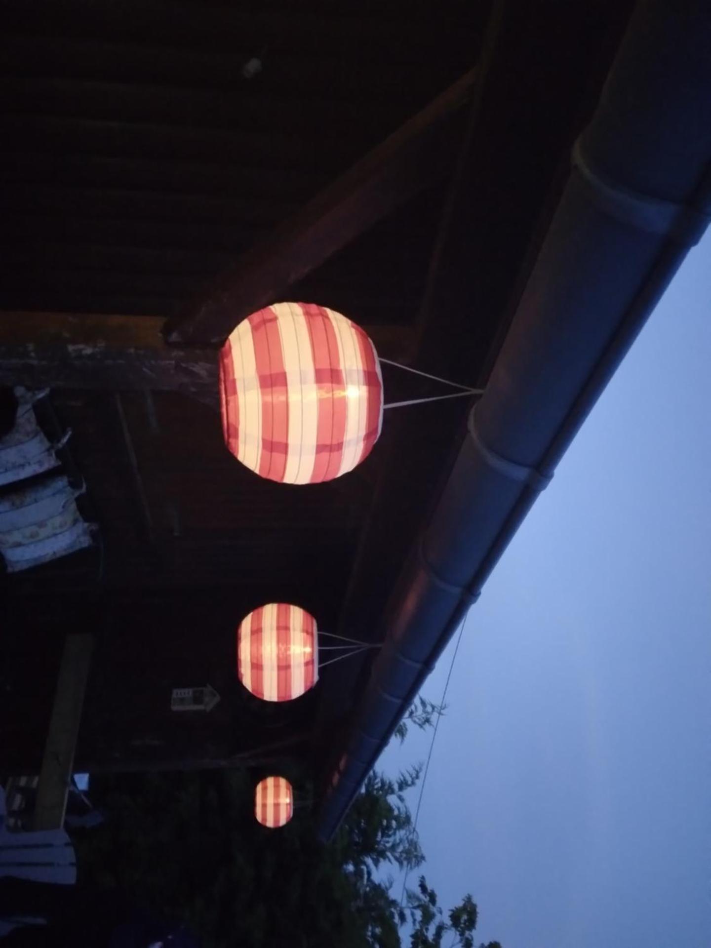 la cabane des druides