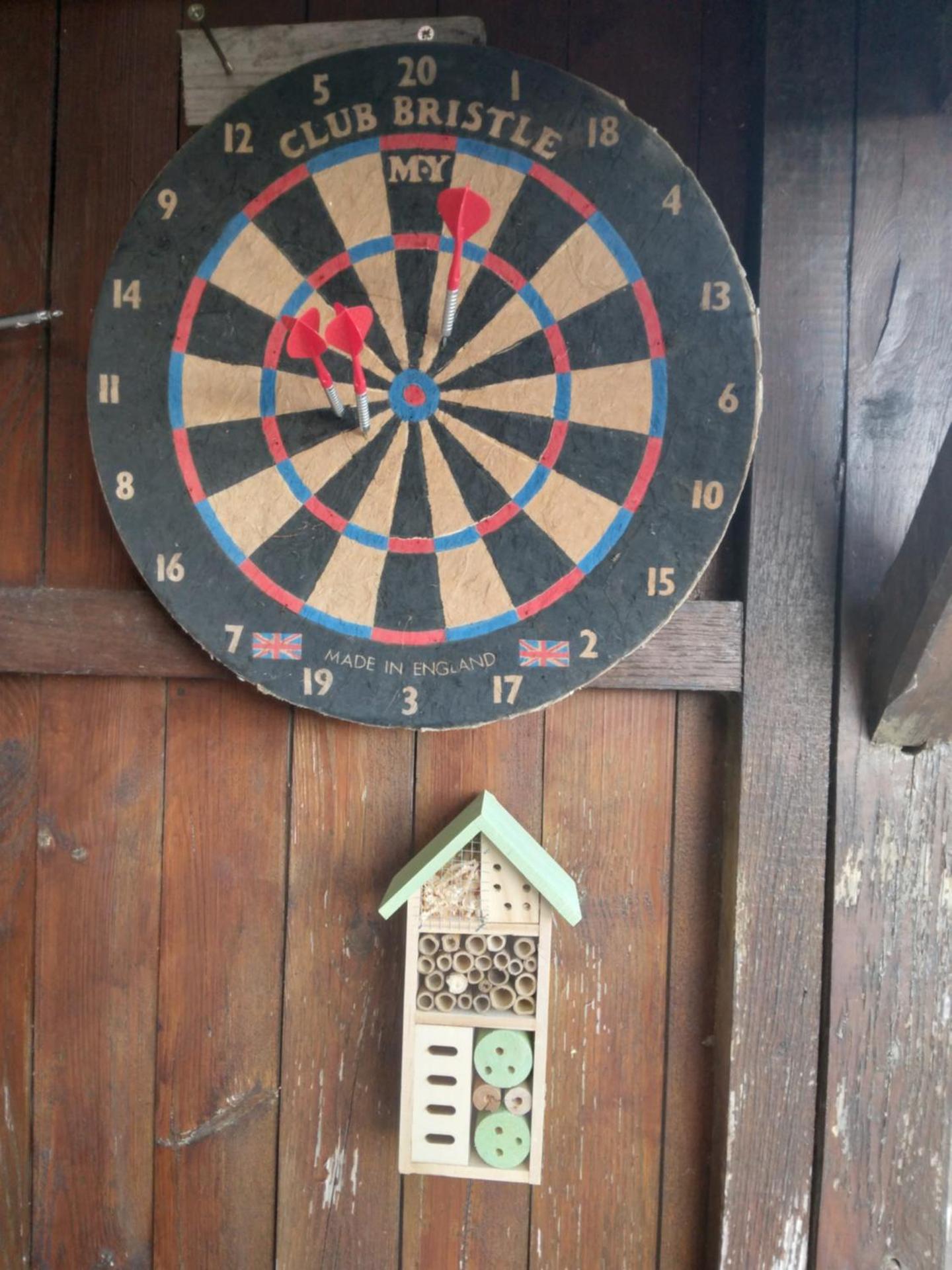 la cabane des druides