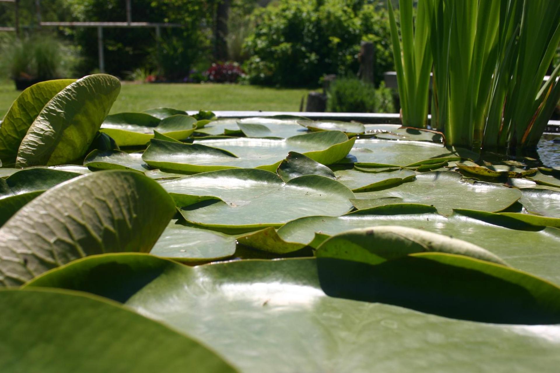 Les Jardins des Soussilanges