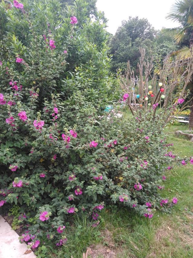 Apartment with Pool View 