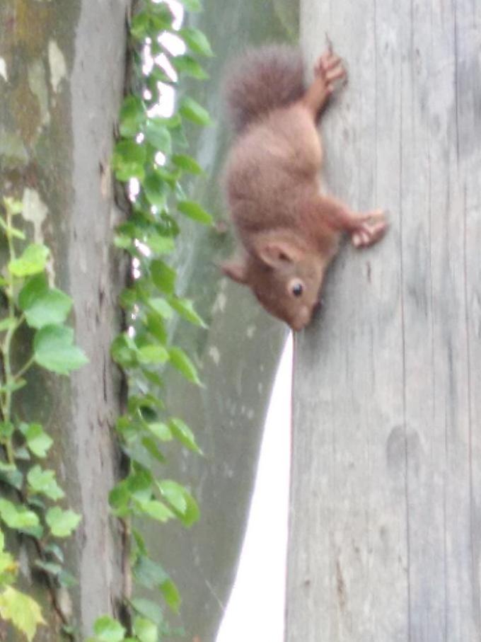 Apartment with Pool View 
