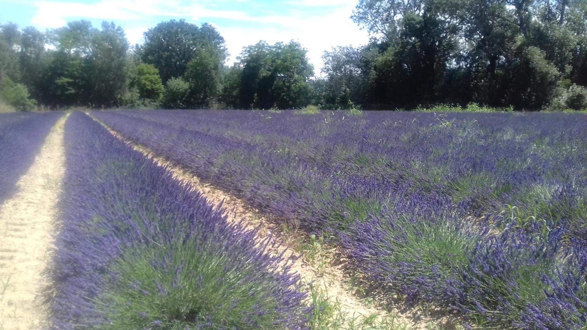 Pause Appart 40 m2 avec cour privative - Spacieux & Confortable