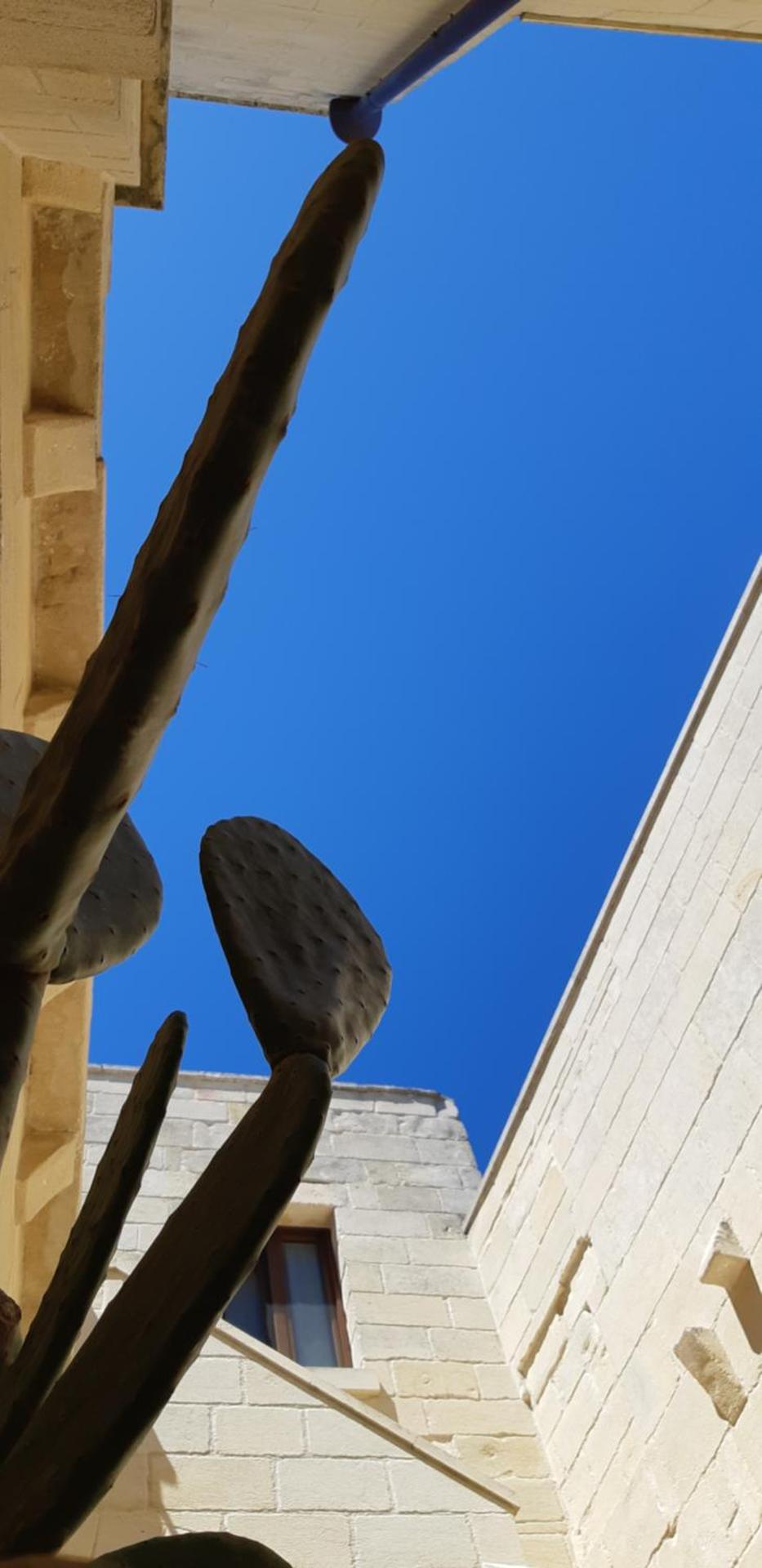 Inner courtyard view