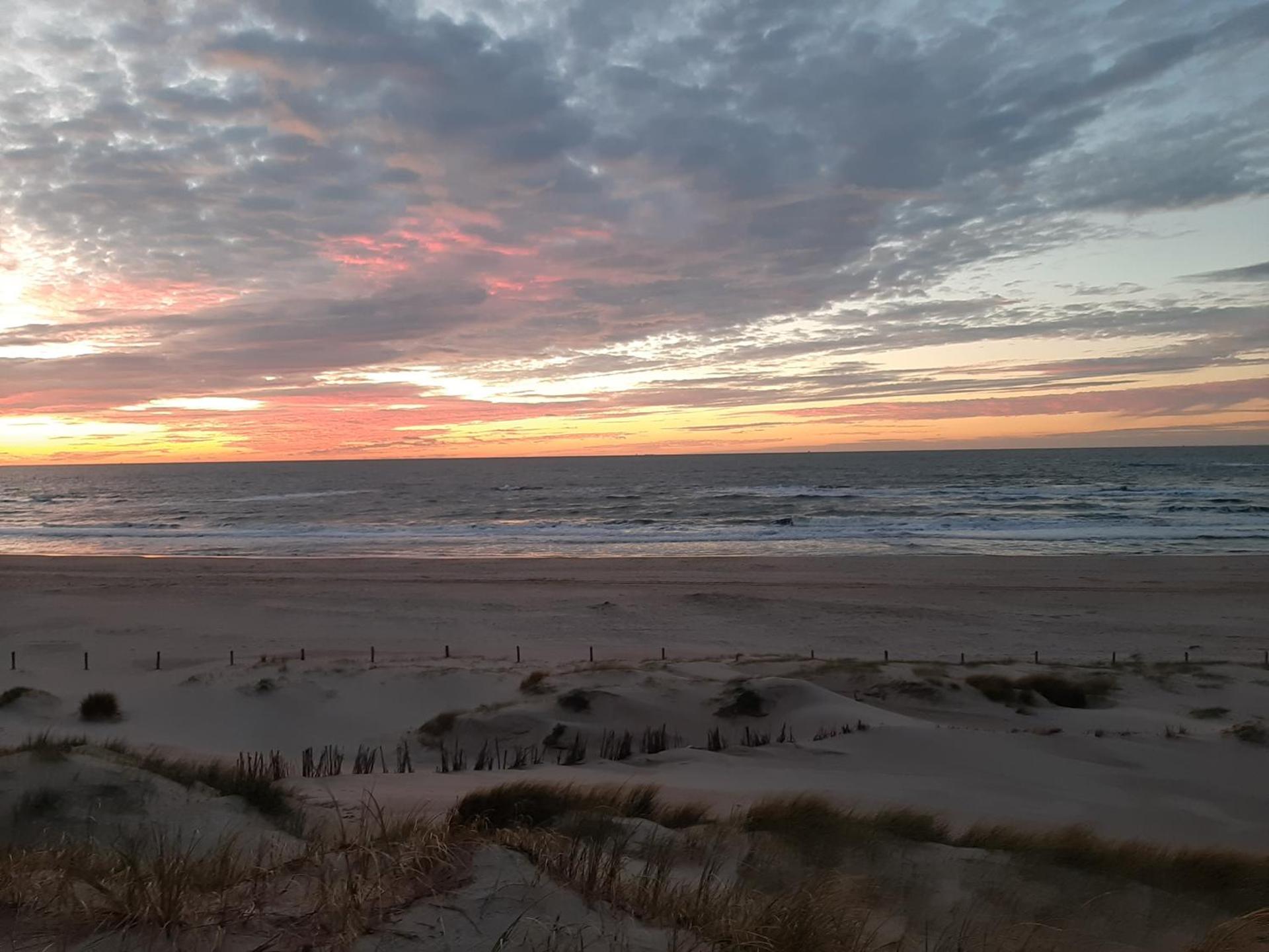 Boshuisje Petten aan Zee