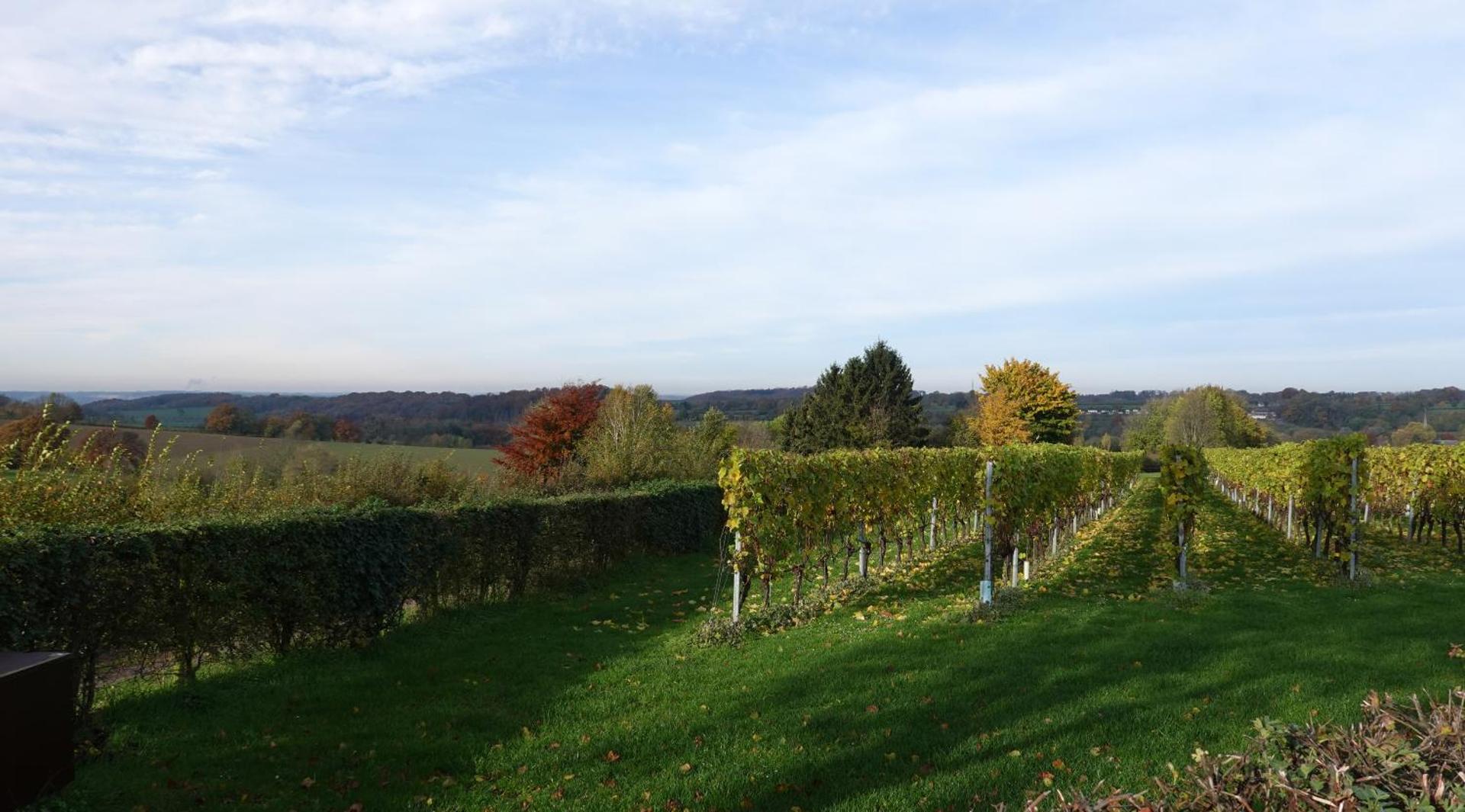 B&B Vroelen-Noorbeek