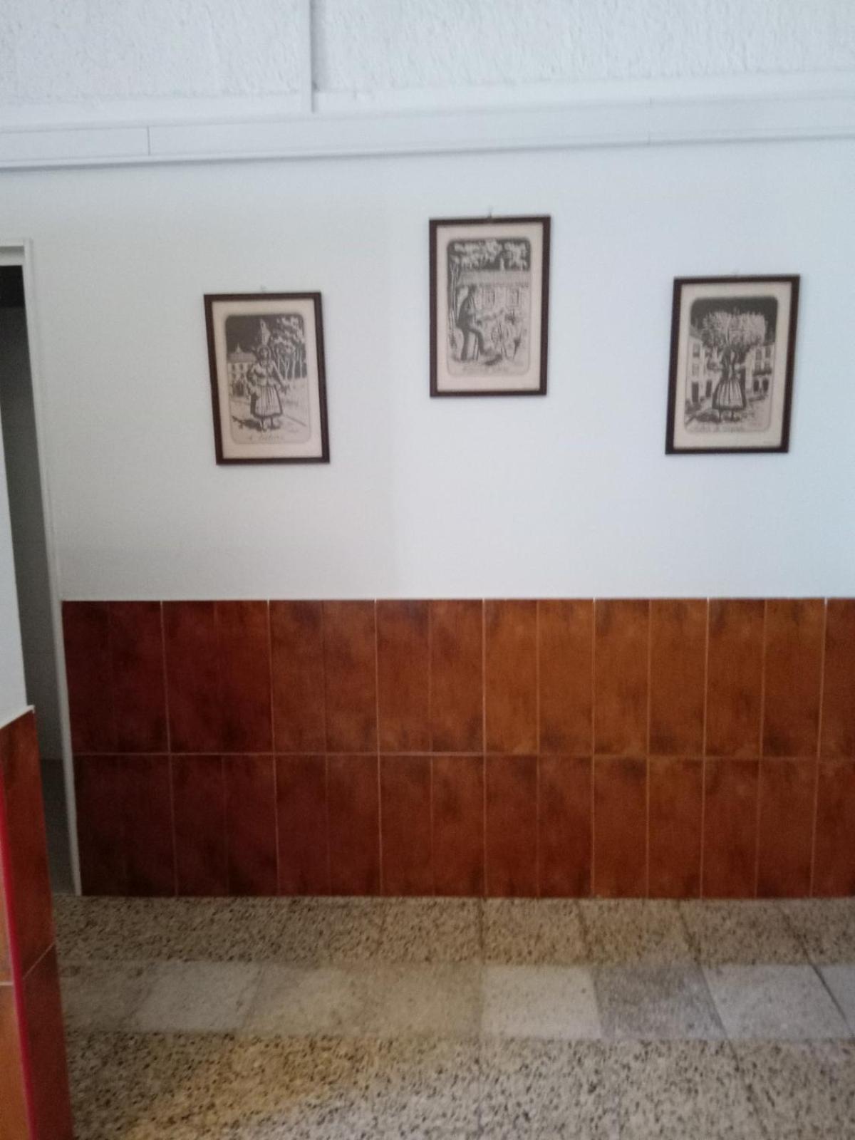 Bed in 8-Bed Mixed Dormitory Room