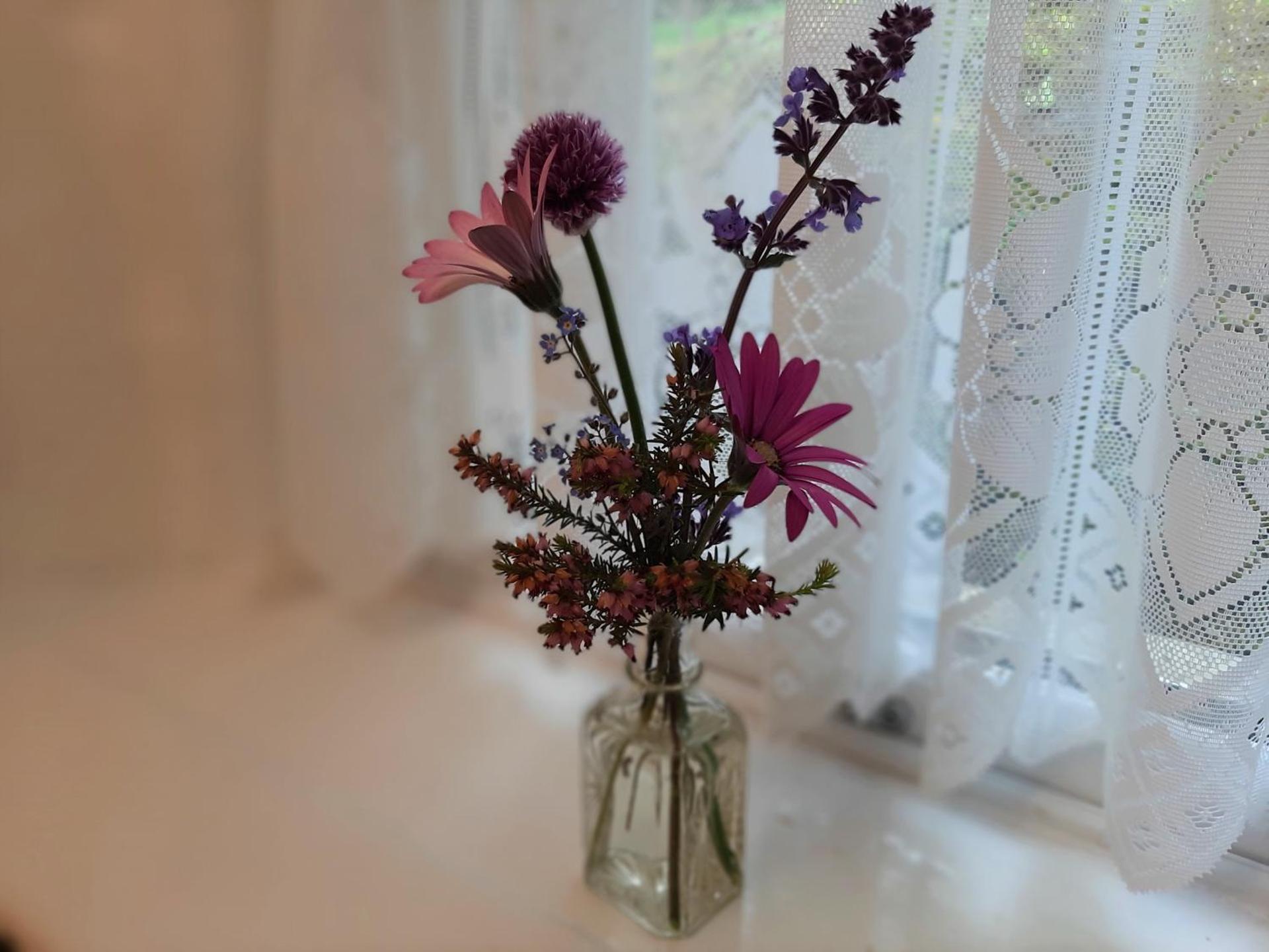 CherryTreeCottage - Cosy 19thCentury Pet Friendly