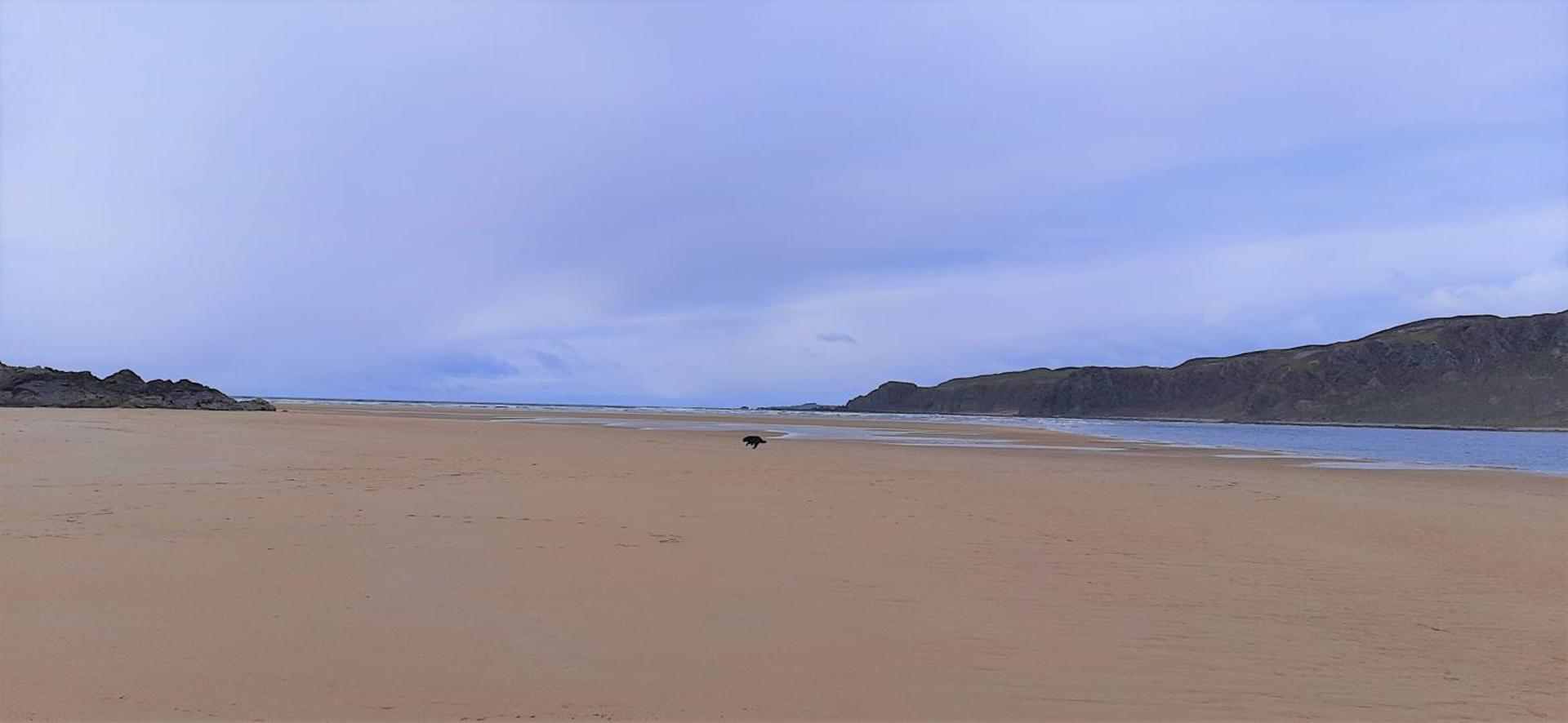 CherryTreeCottage - Cosy 19thCentury Pet Friendly