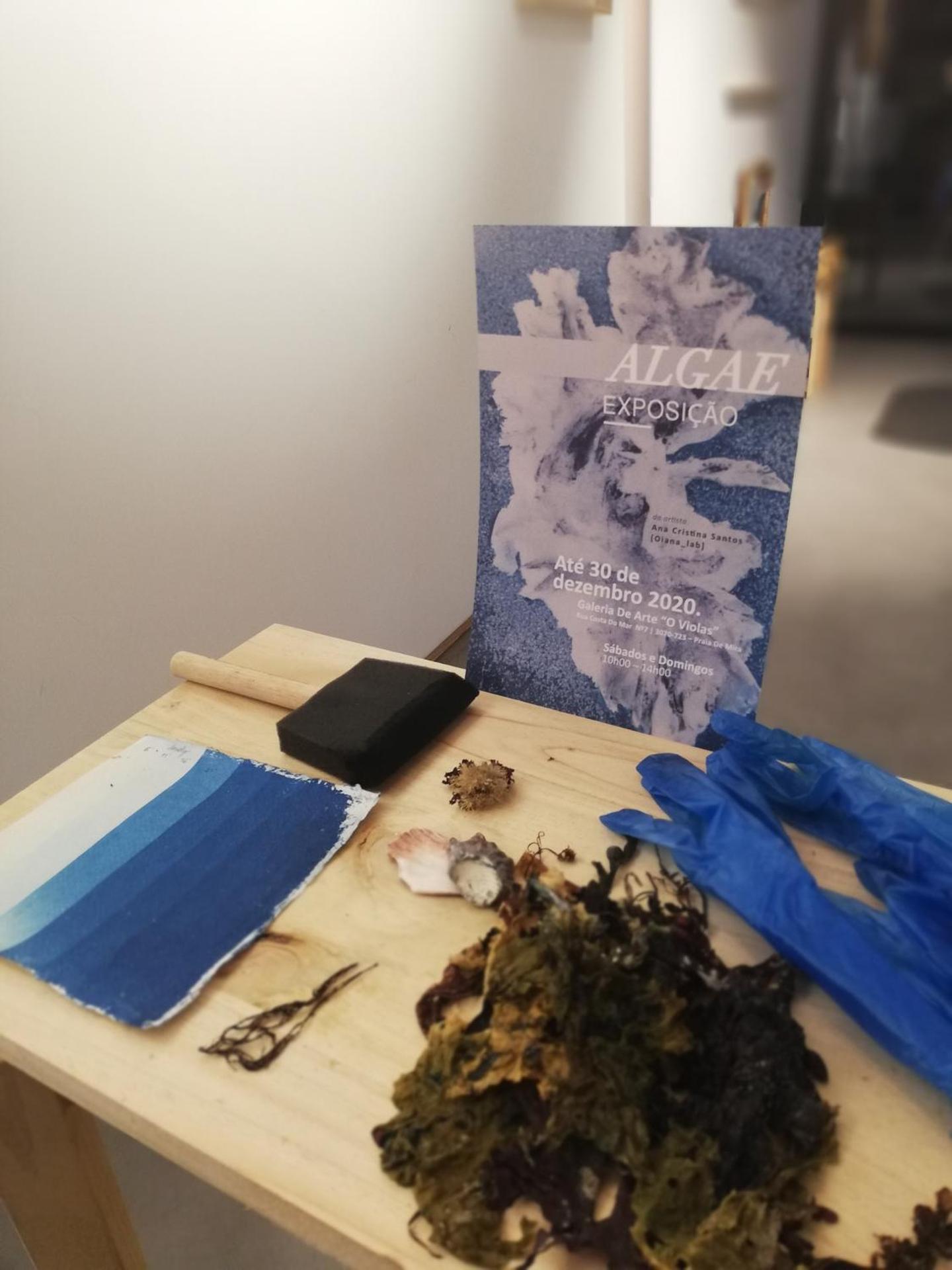 O VIOLAS - Art Coffee & Guesthouse