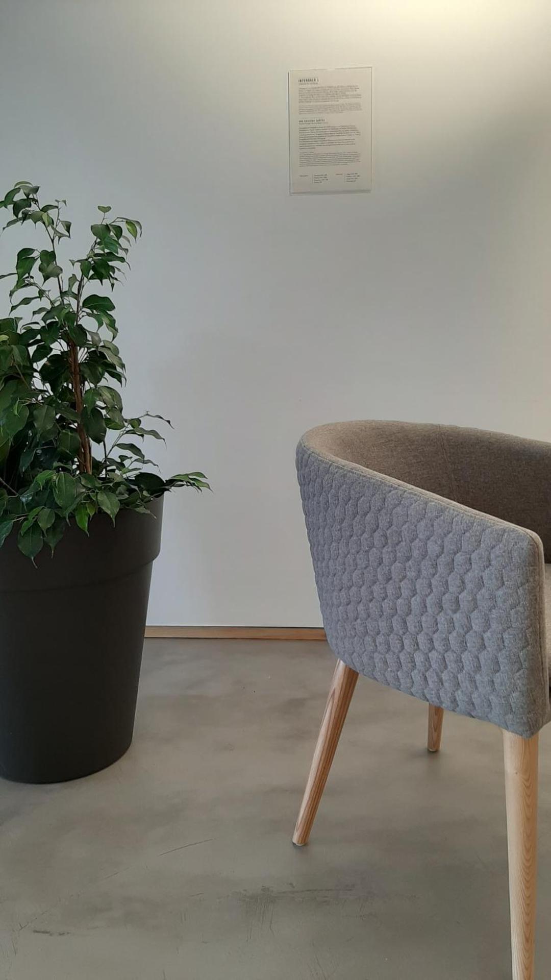 O VIOLAS - Art Coffee & Guesthouse