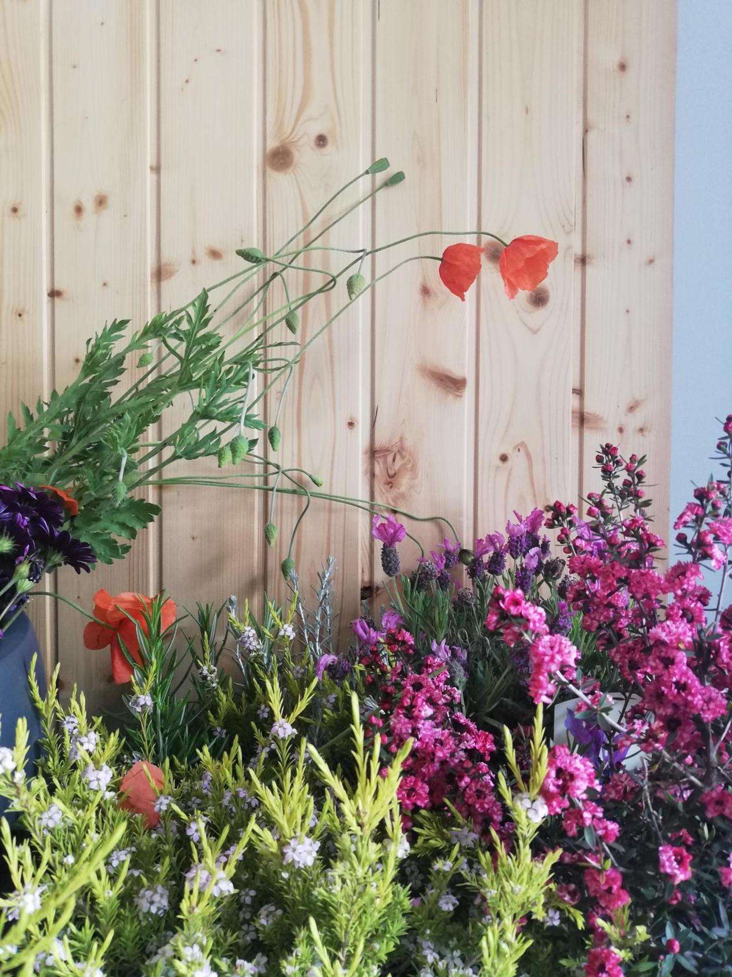 O VIOLAS - Art Coffee & Guesthouse