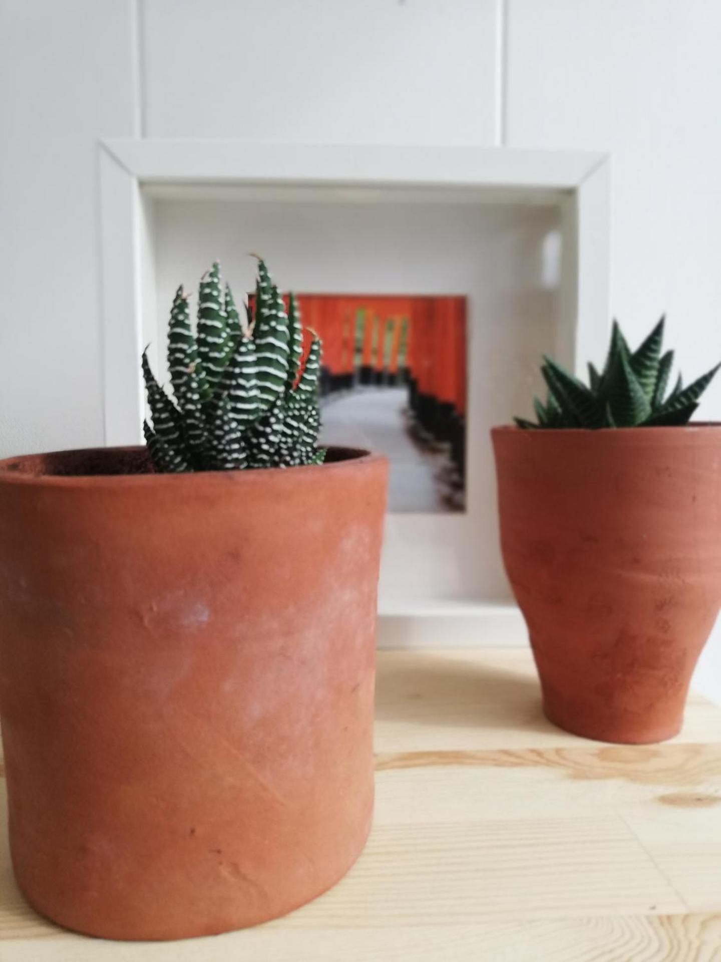 O VIOLAS - Art Coffee & Guesthouse