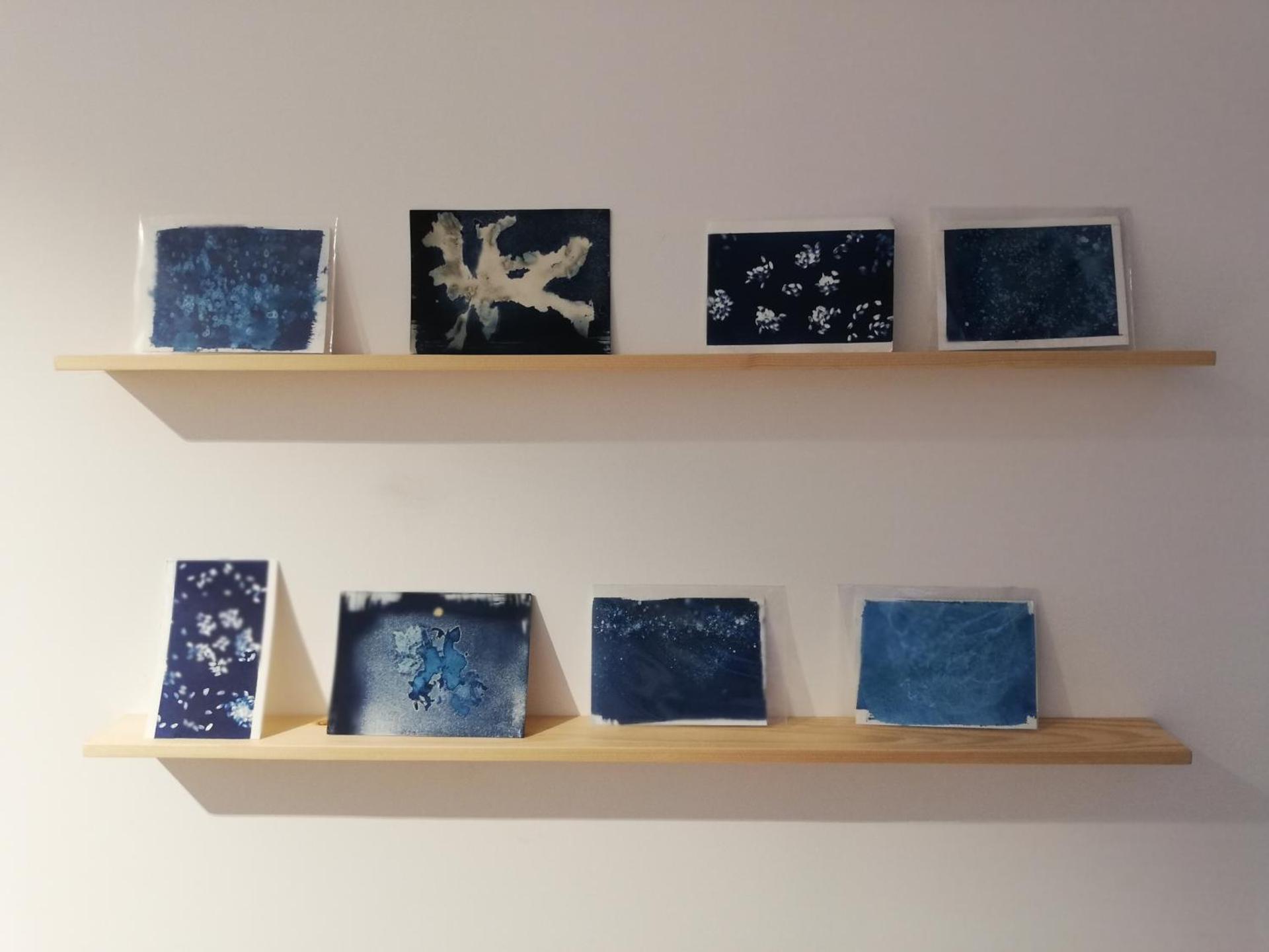 O VIOLAS - Art Coffee & Guesthouse