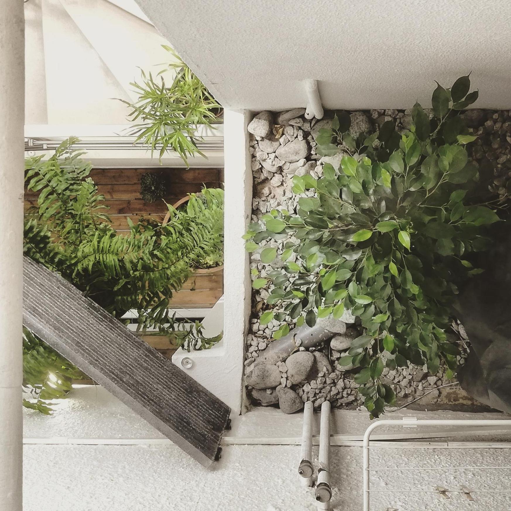 O VIOLAS - Art Coffee & Guesthouse