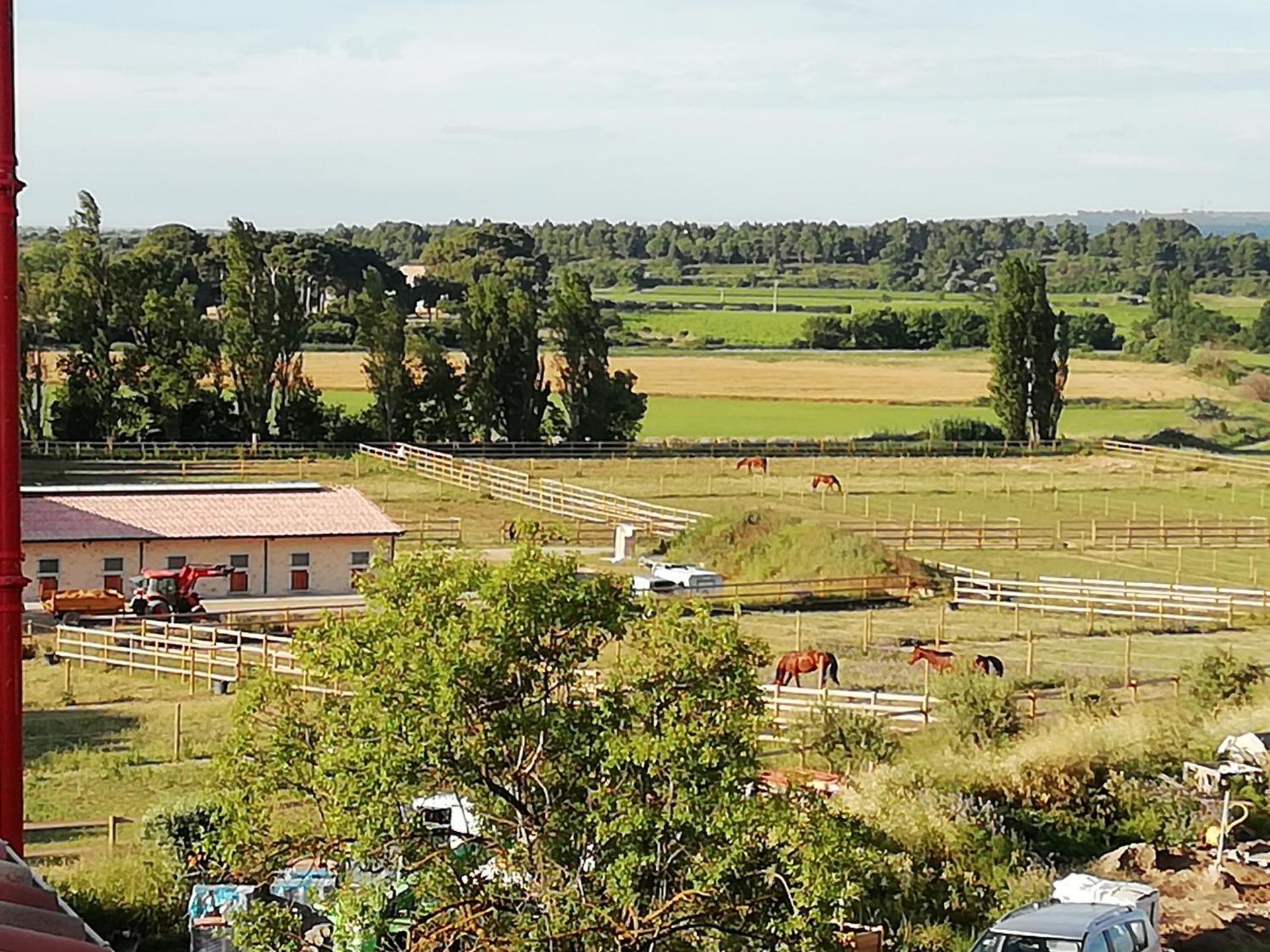 Domaine de la Vidalle