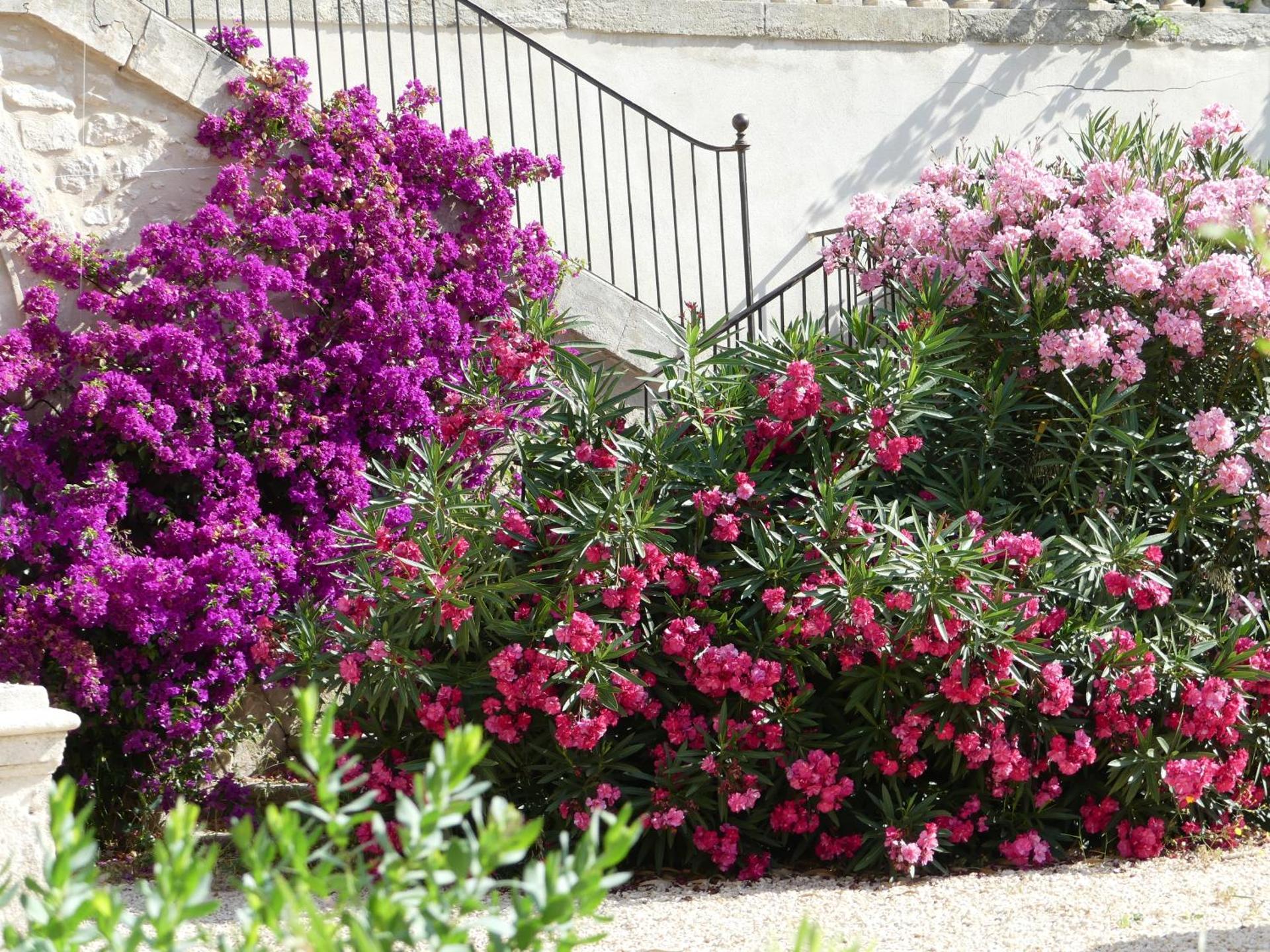 Domaine de la Vidalle