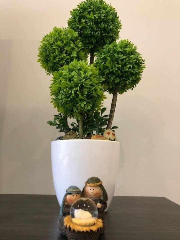 Viana do Castelo - Amonde Village Casa P - Conforto Qualidade Natureza