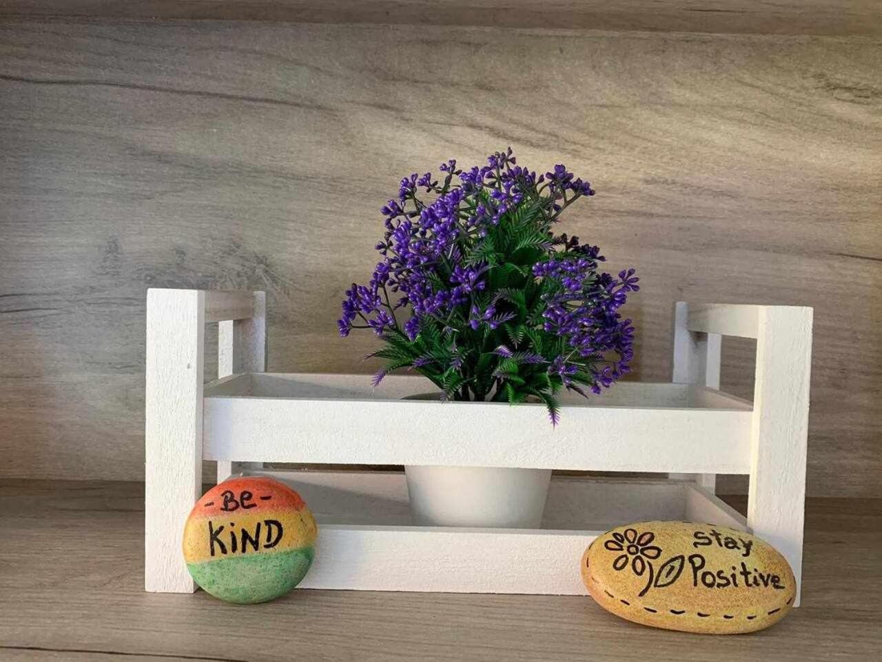 Viana do Castelo - Amonde Village Casa P - Conforto Qualidade Natureza