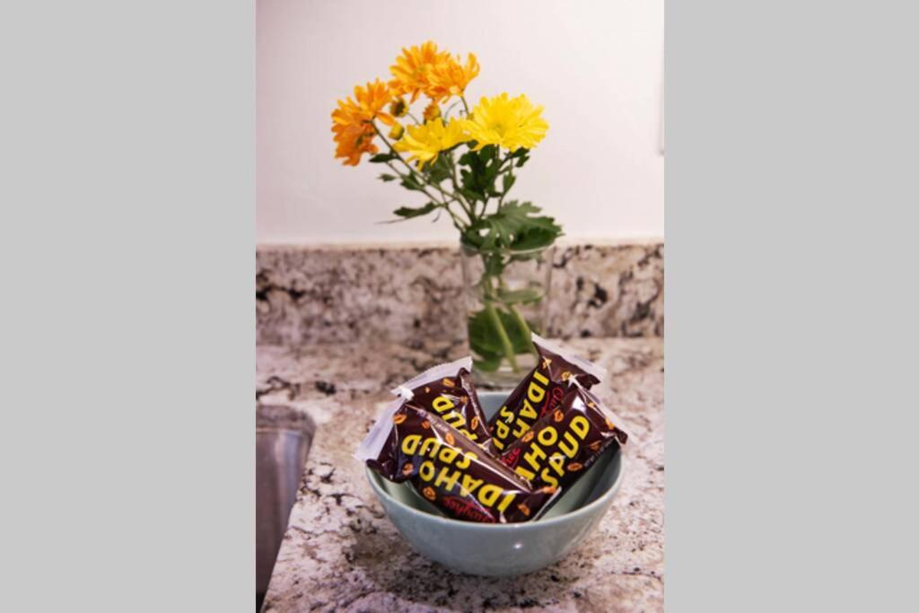 Bear Lair at Teton Valley Idaho