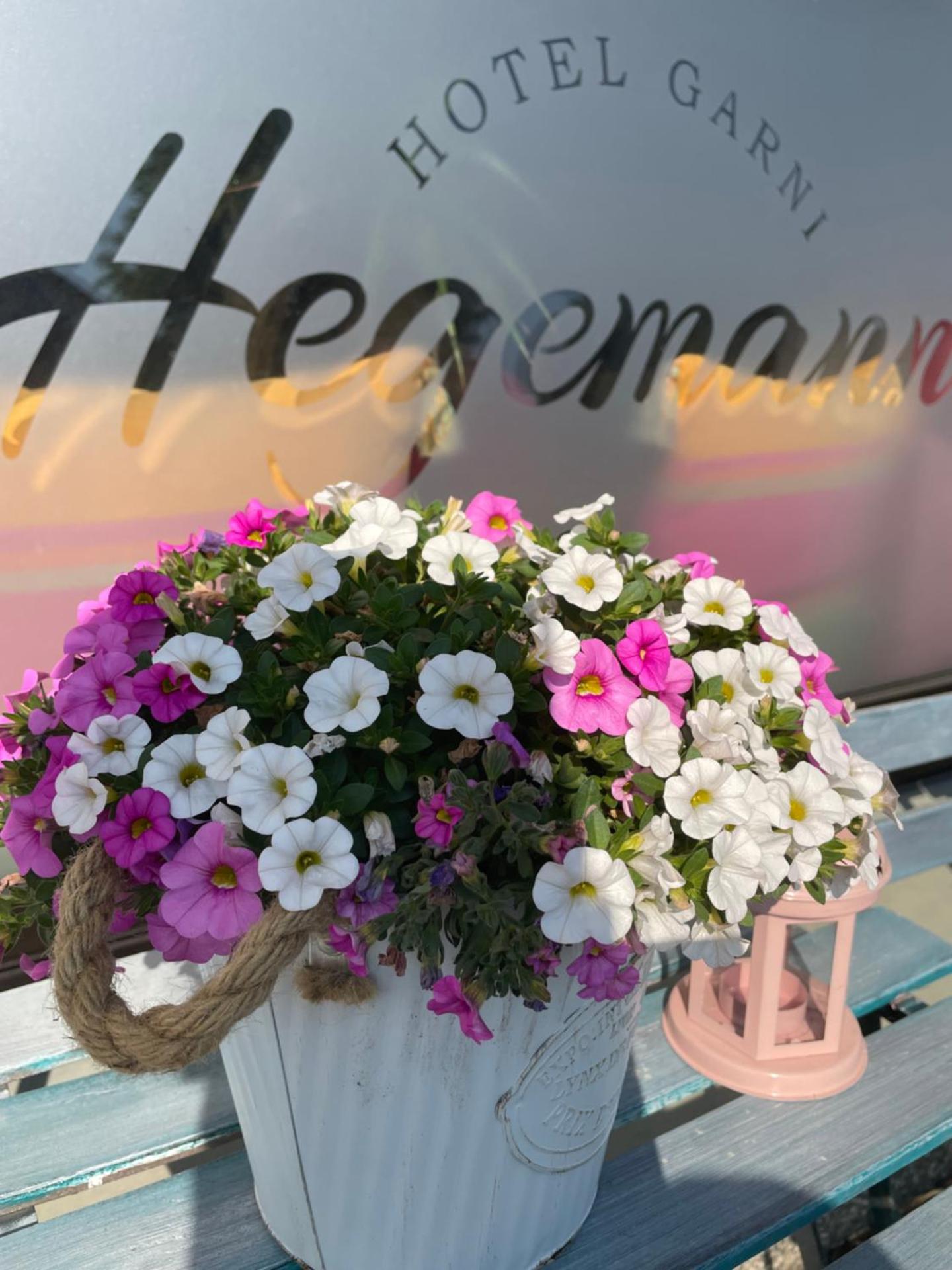 Hotel Hegemann garni